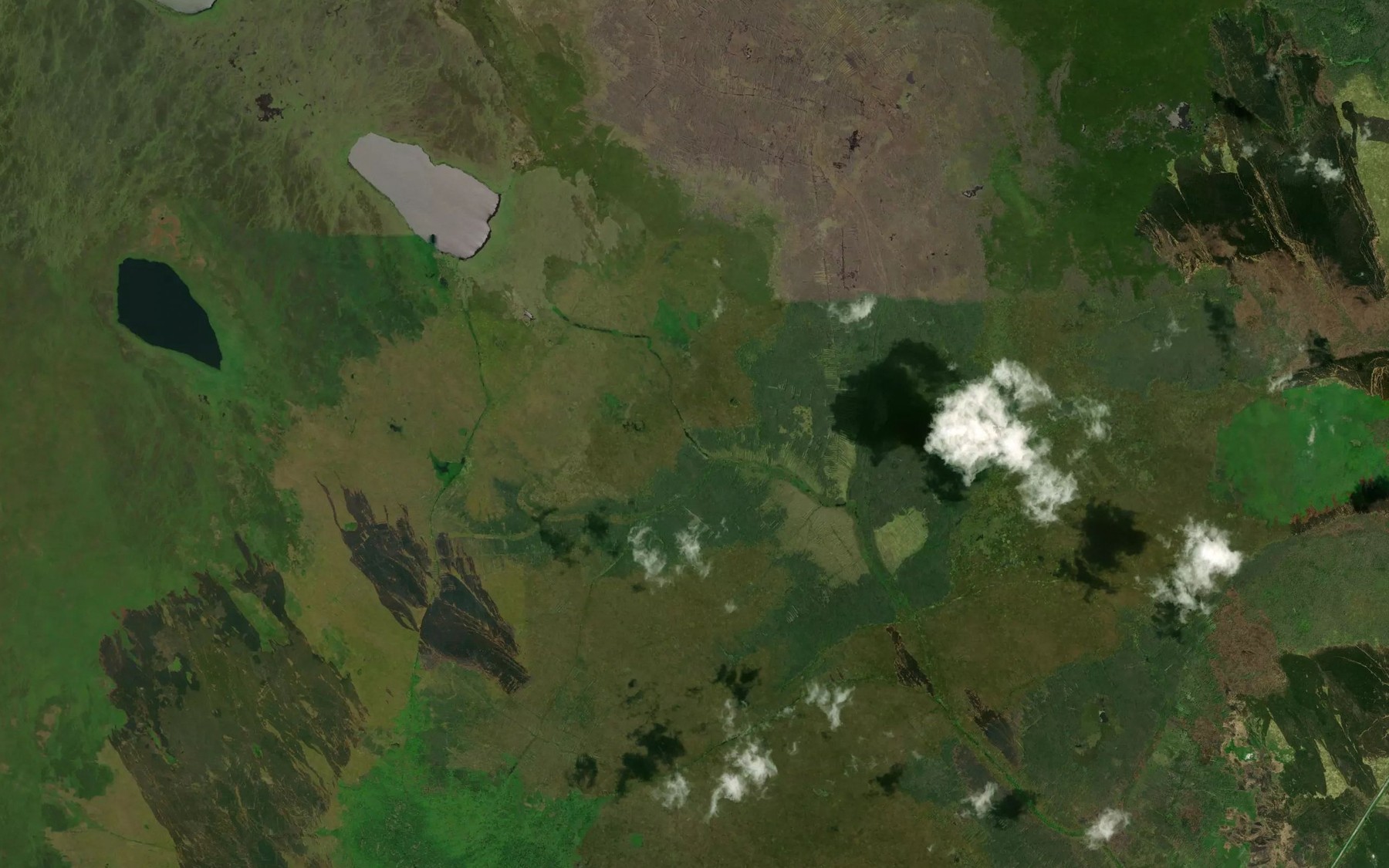 Satellite map of the Danau Puru