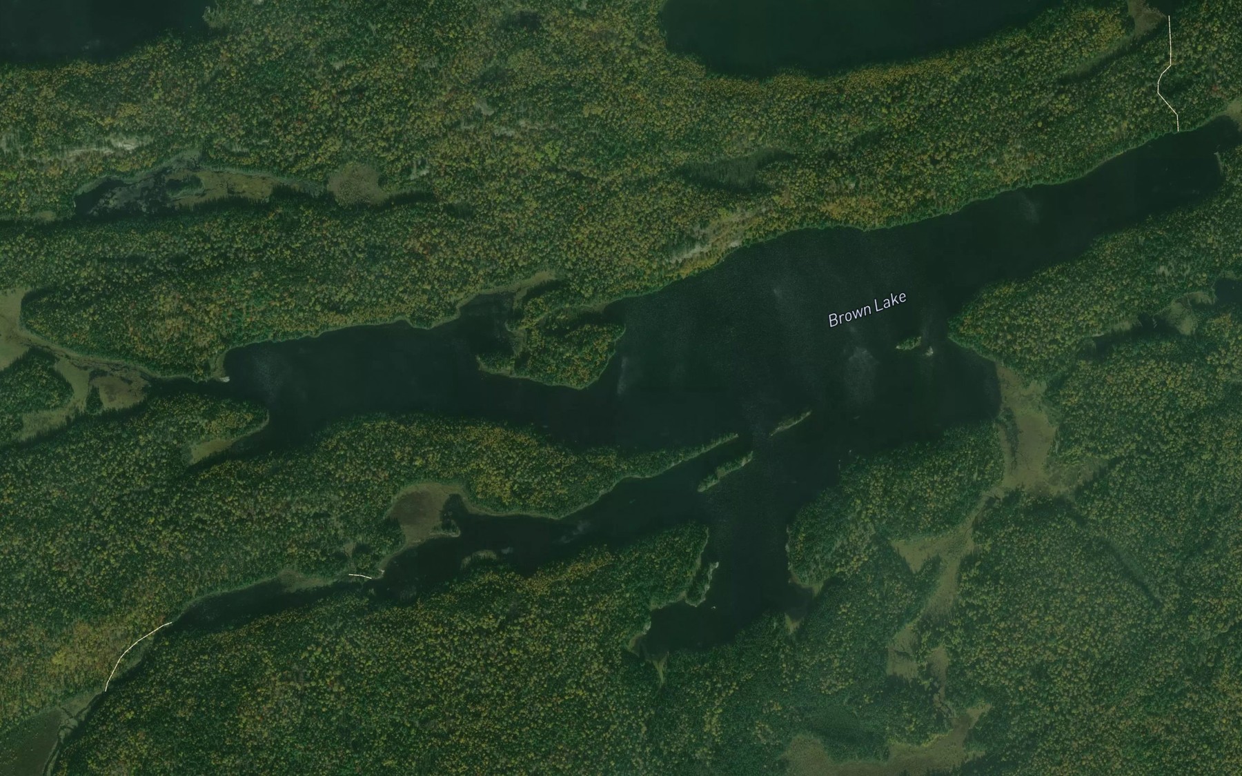 Satellite map of the Brown Lake