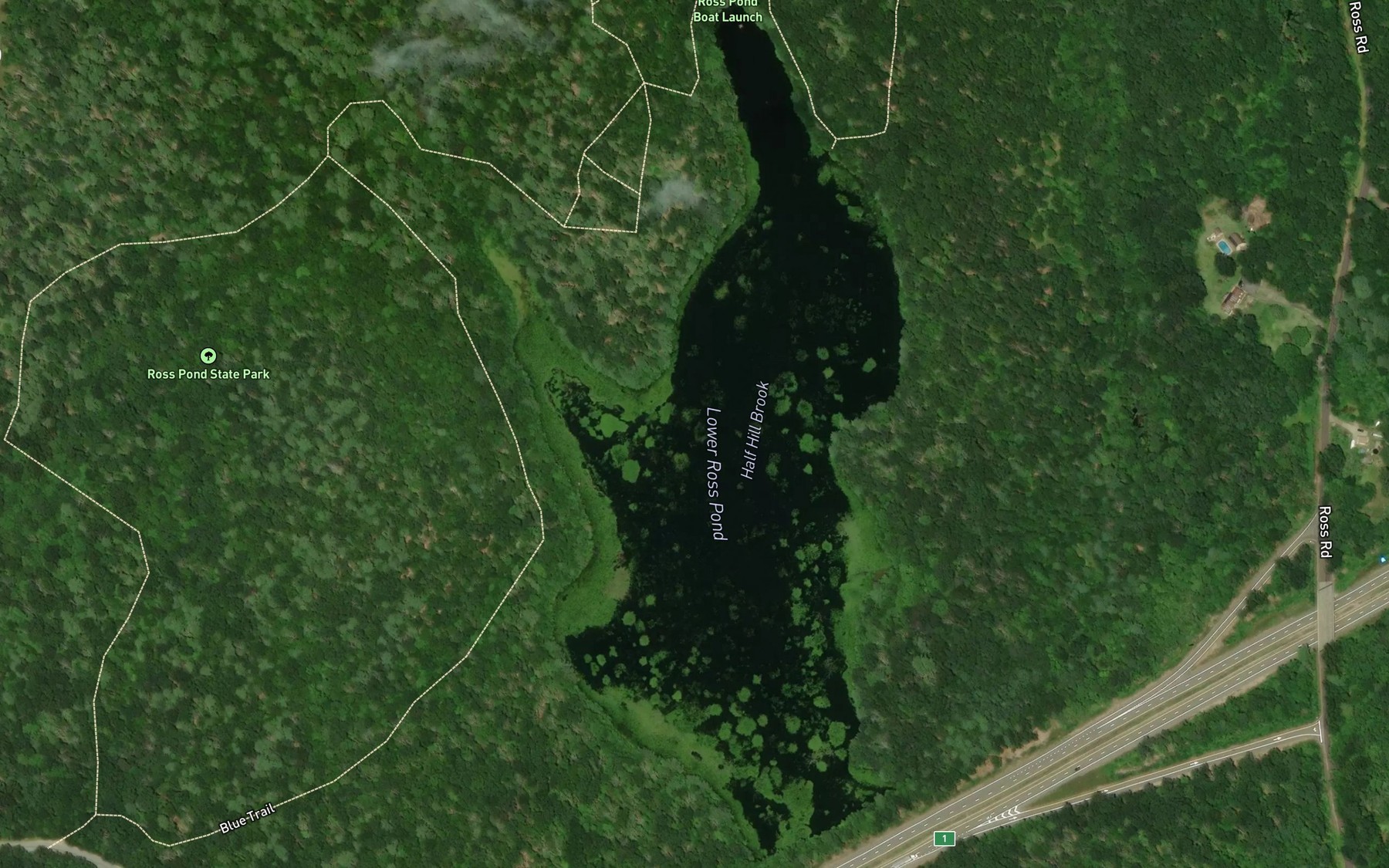 Satellite map of the Ross Pond