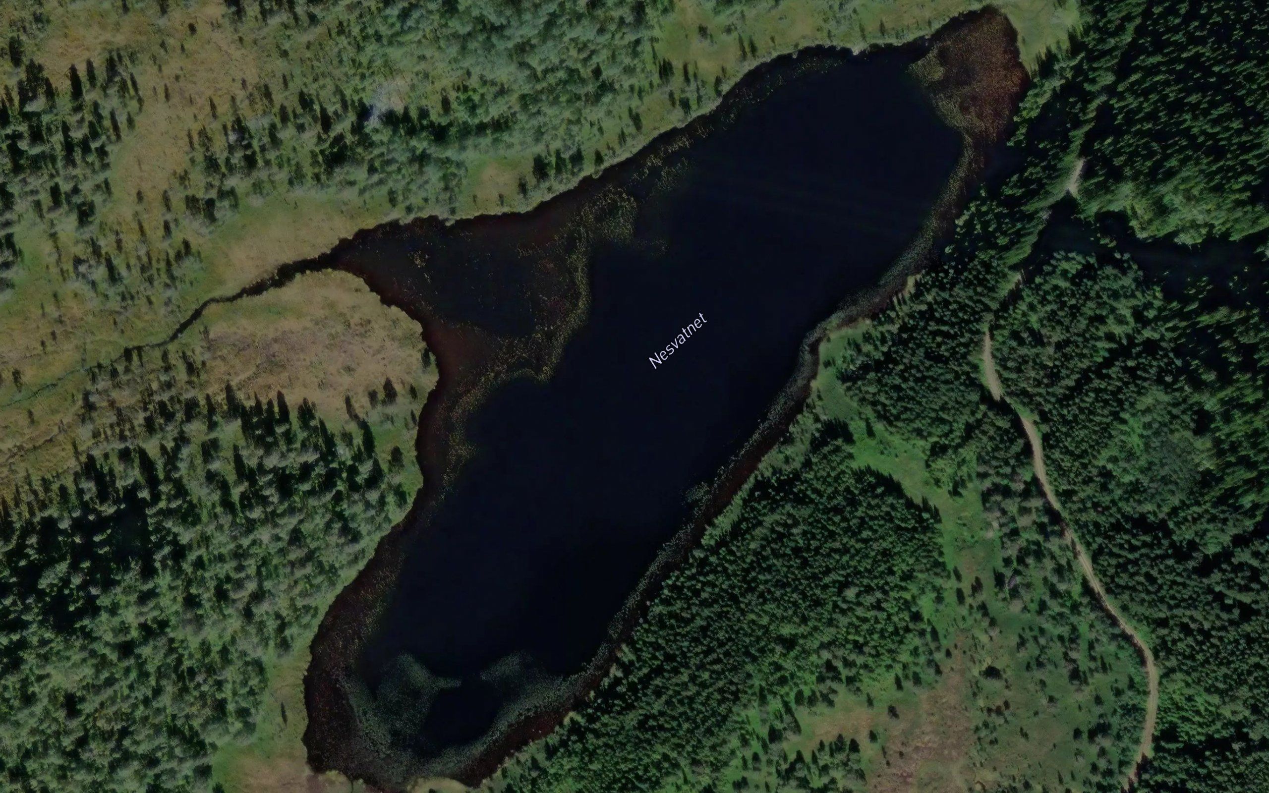 Nesvatnet