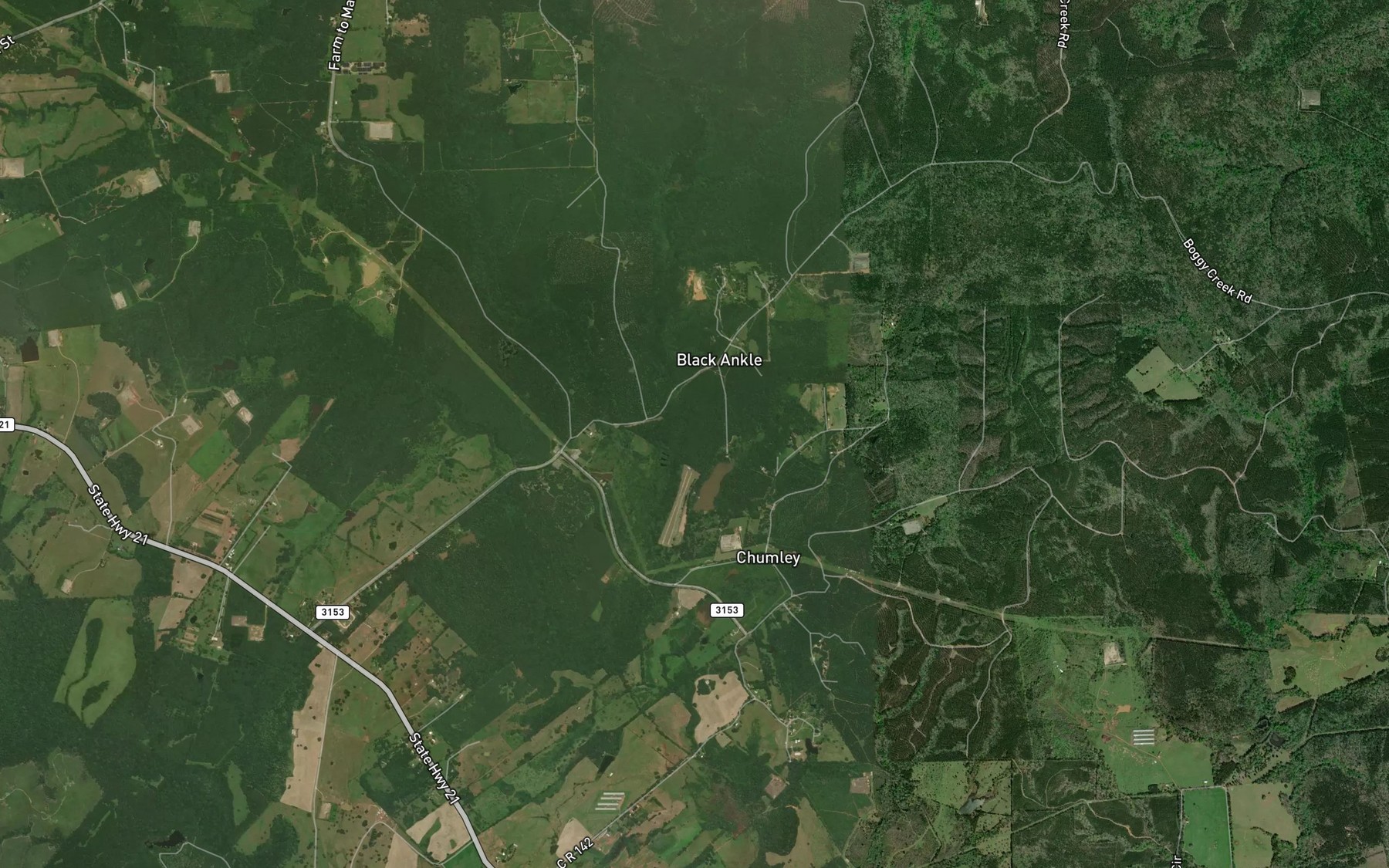 Satellite map of the San Augustine Spring
