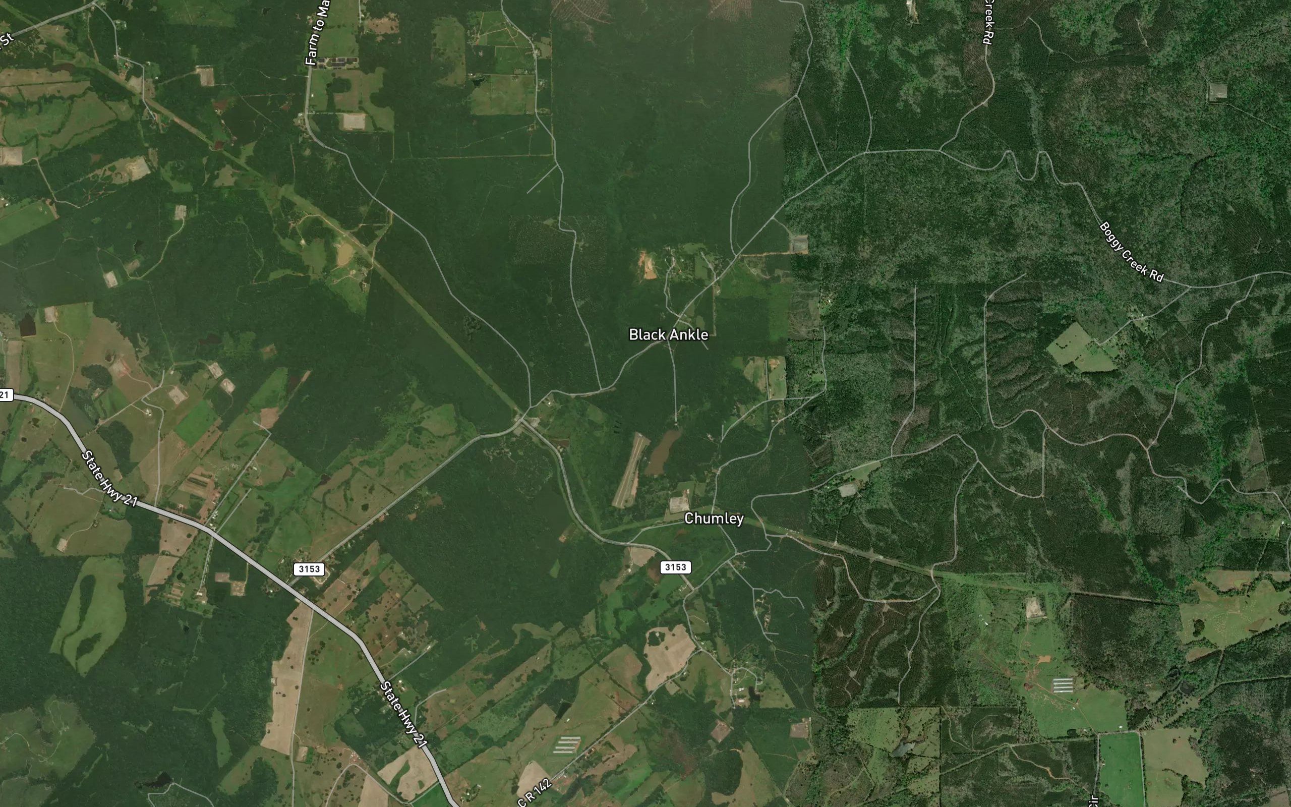 San Augustine Spring
