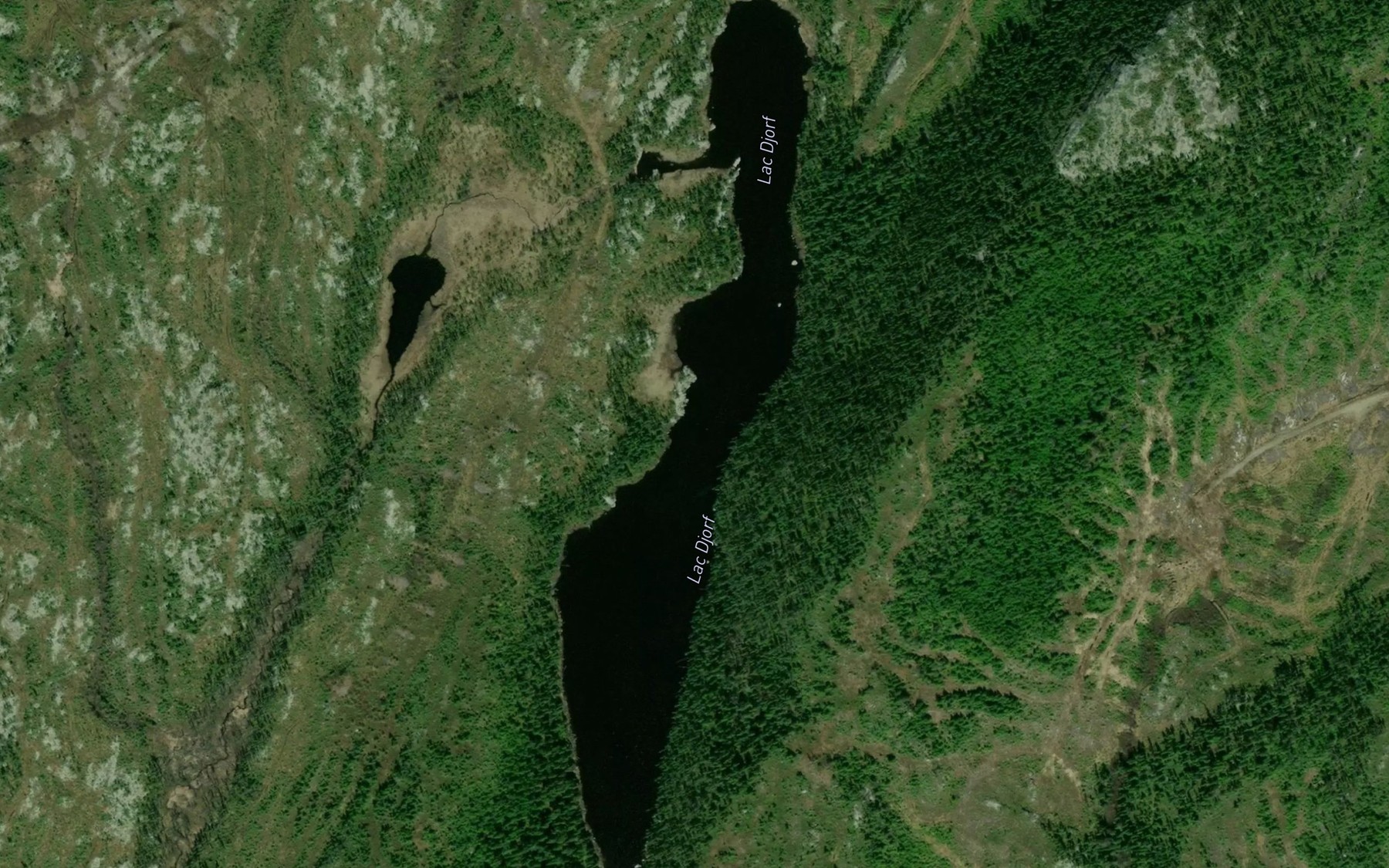 Satellite map of the Lac Djorf