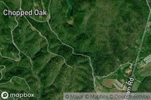 Amy Creek