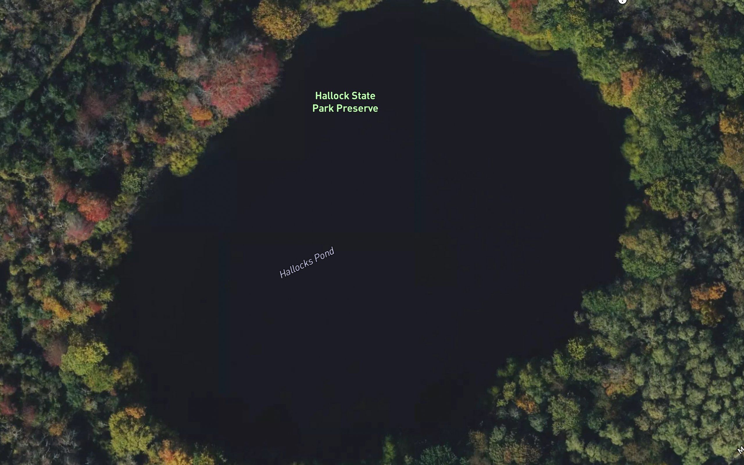 Hallocks Pond