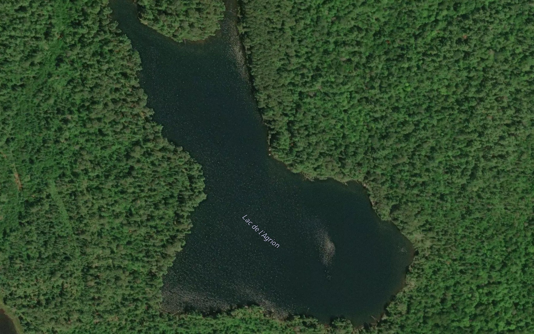 Satellite map of the Lac de l'Agrion