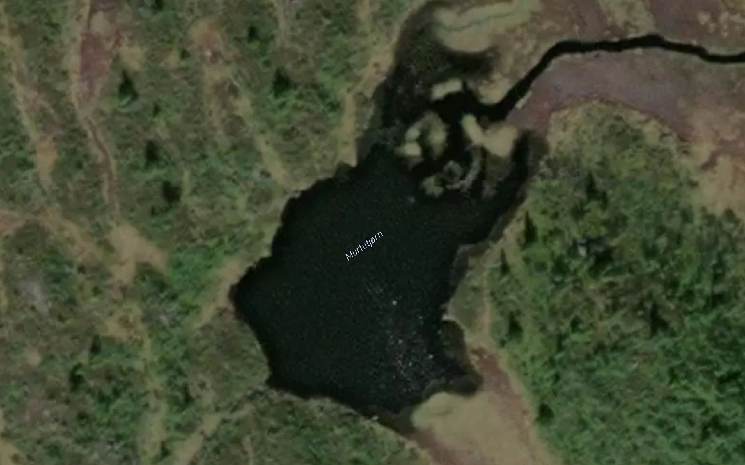 Murtetjorn