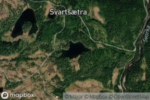 Svartsetertjonna