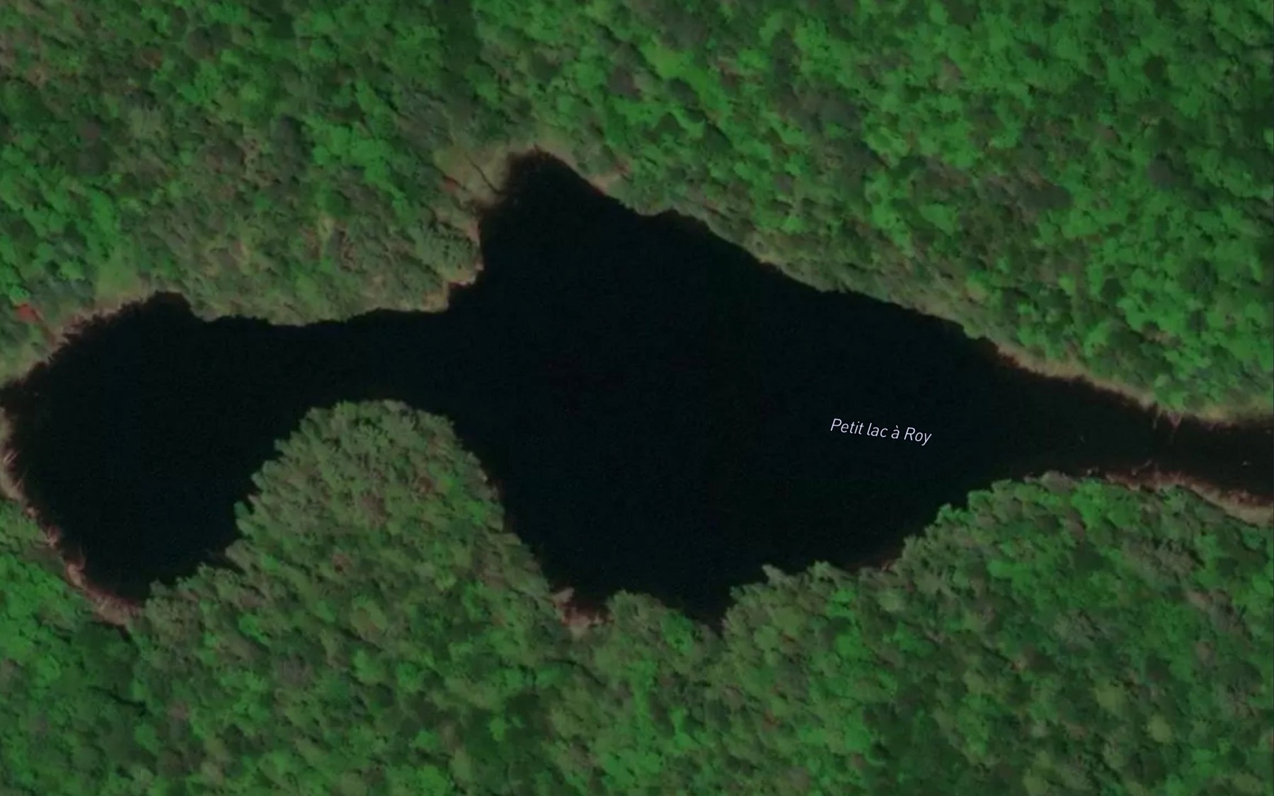 Satellite map of the Petit lac a Roy