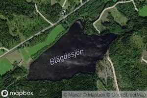 Blagdesjon
