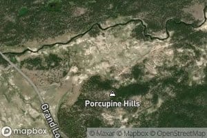 Morning Mist Springs