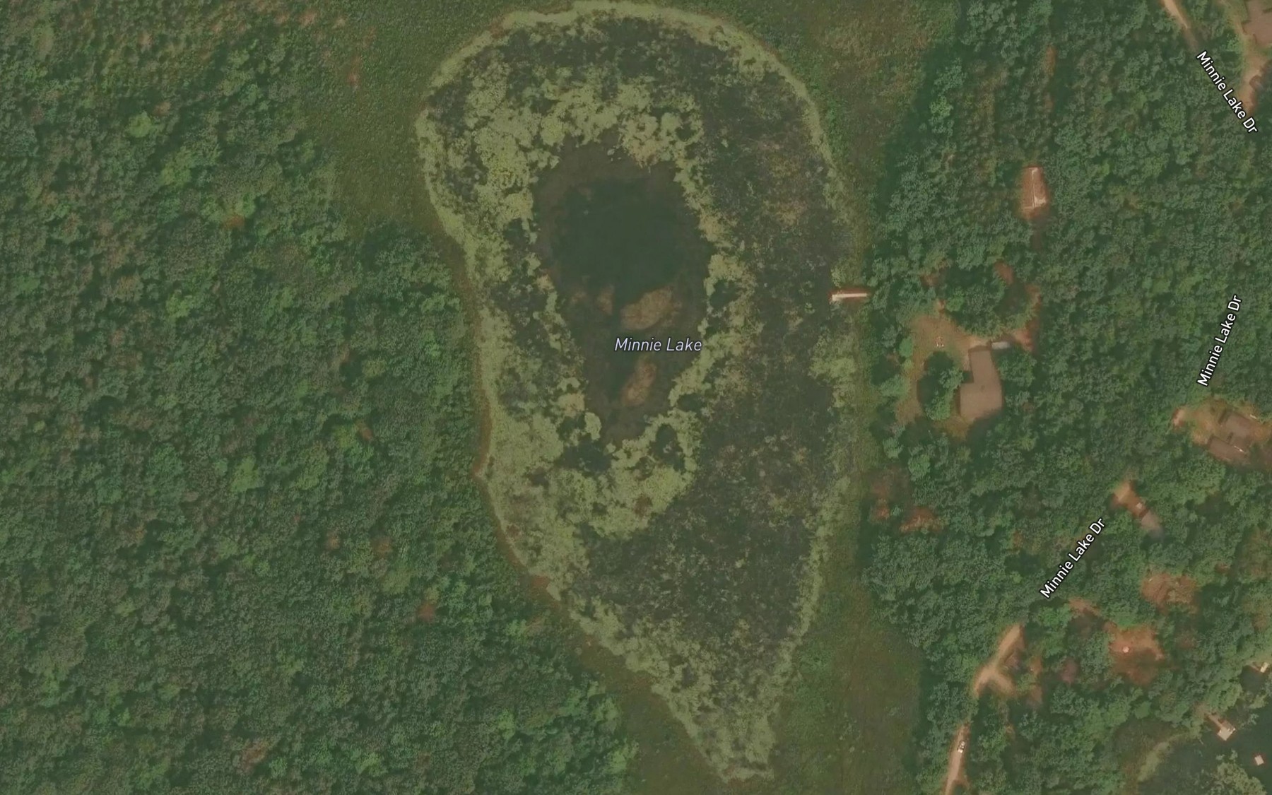Satellite map of the Minnie Lake
