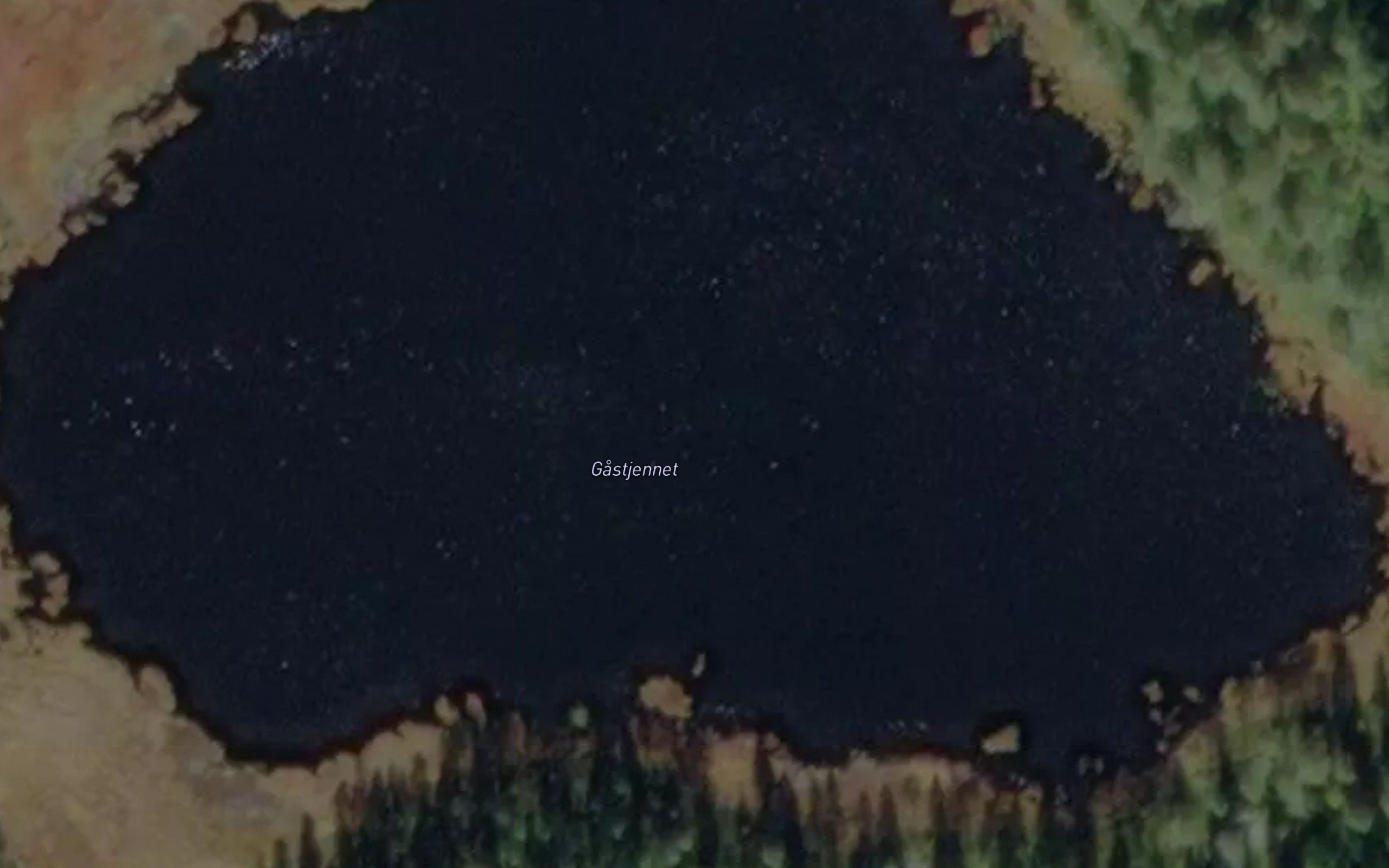 Gastjernet