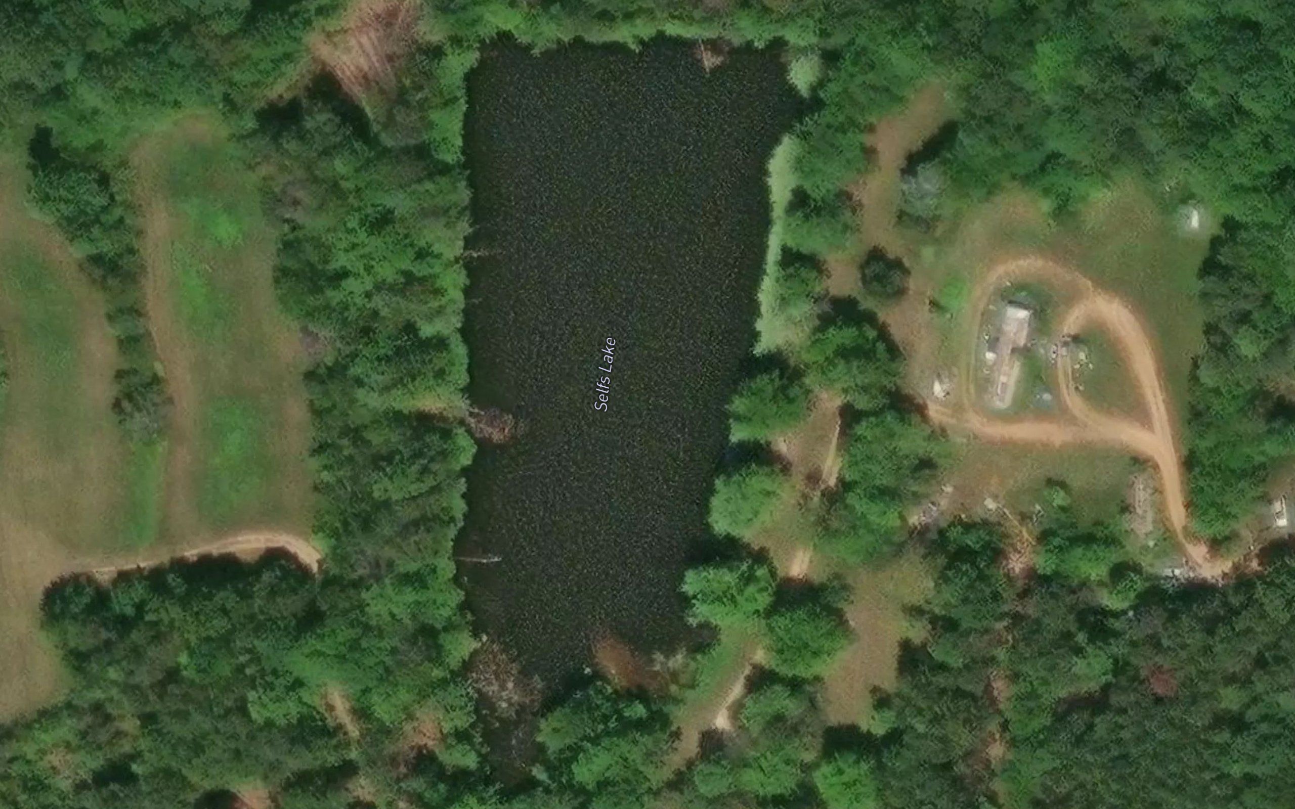 Selfs Lake