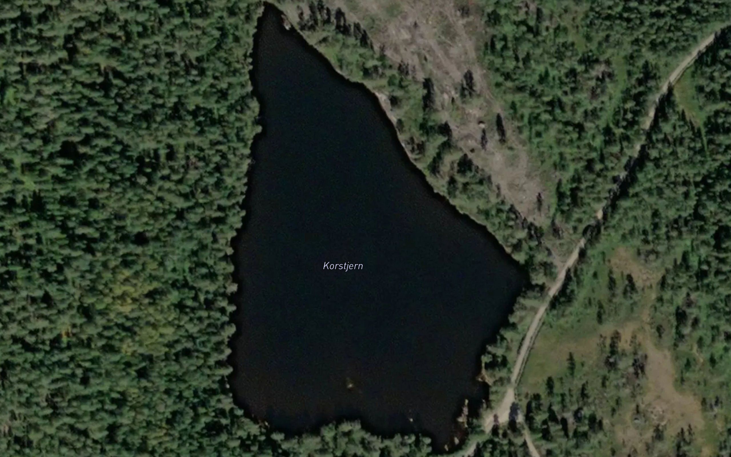 Korstjern