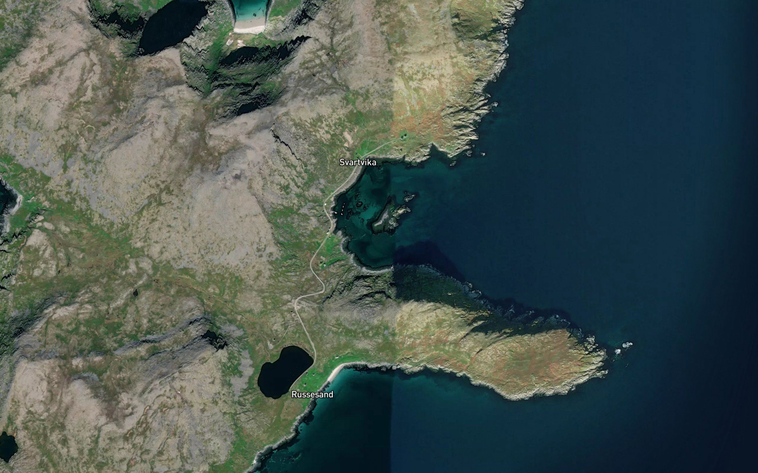 Svartvika