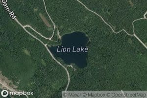 Lion Lake