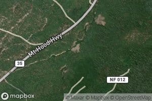 Newton Creek