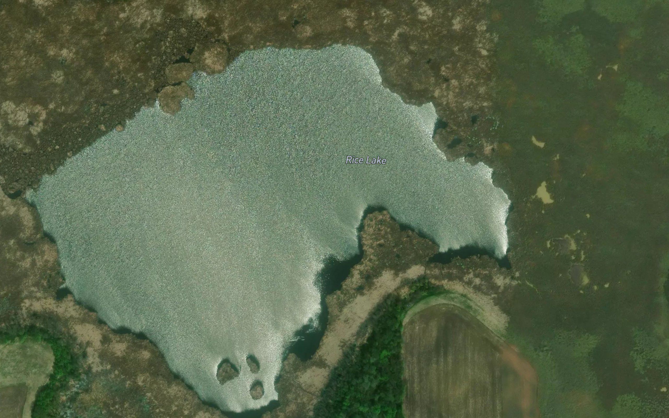 Rice Lake