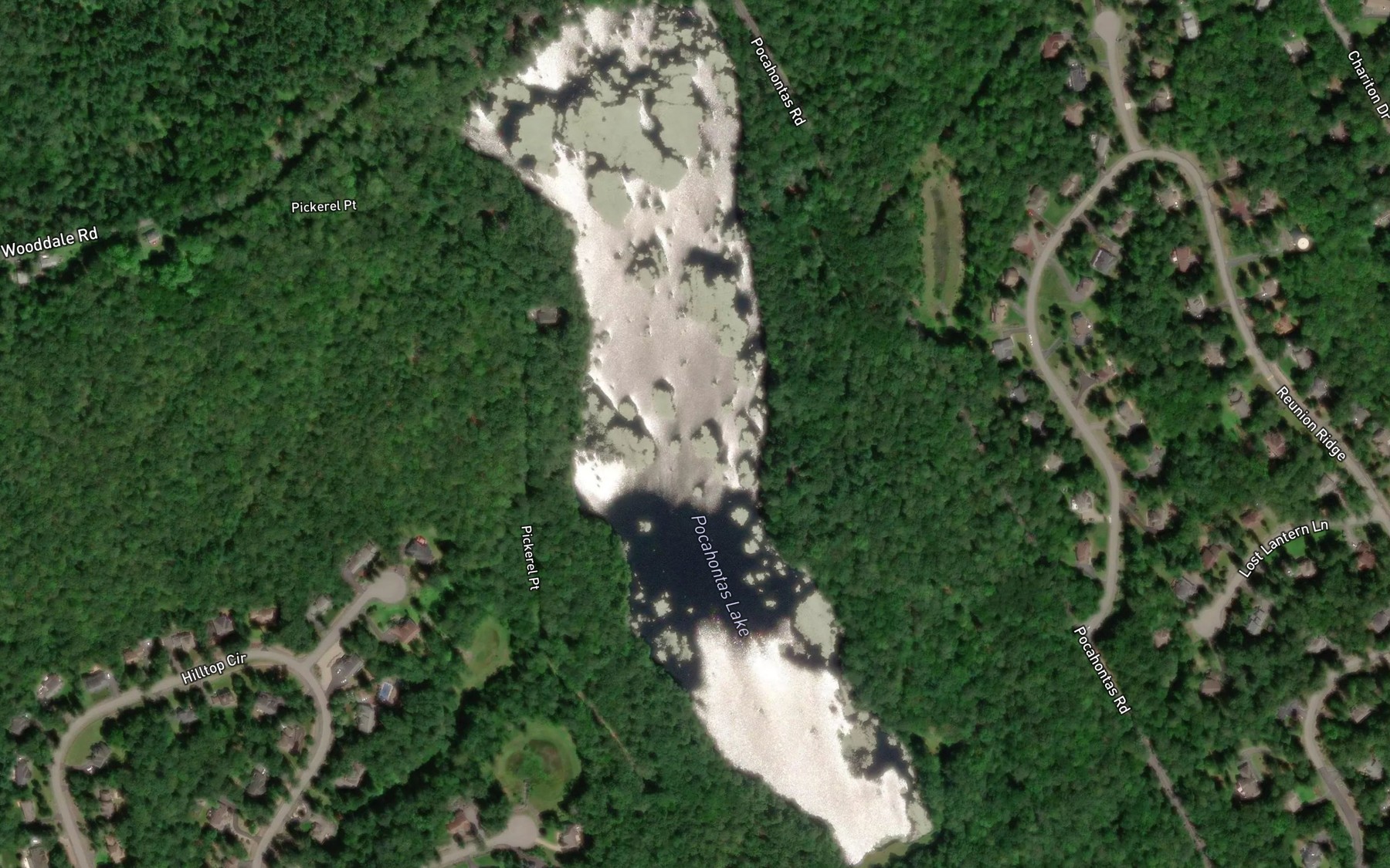 Satellite map of the Pocohontas Lake