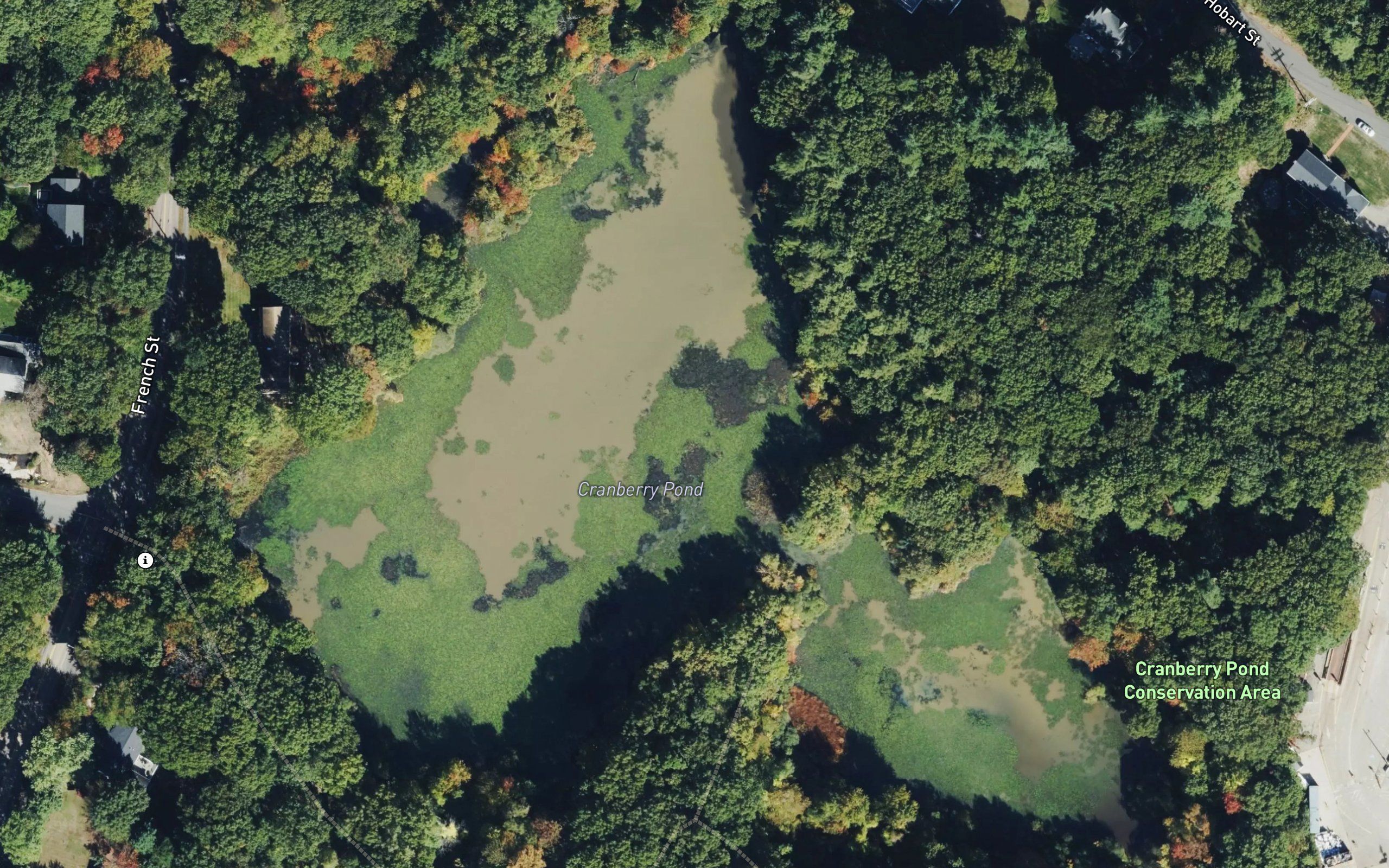 Bouve Pond