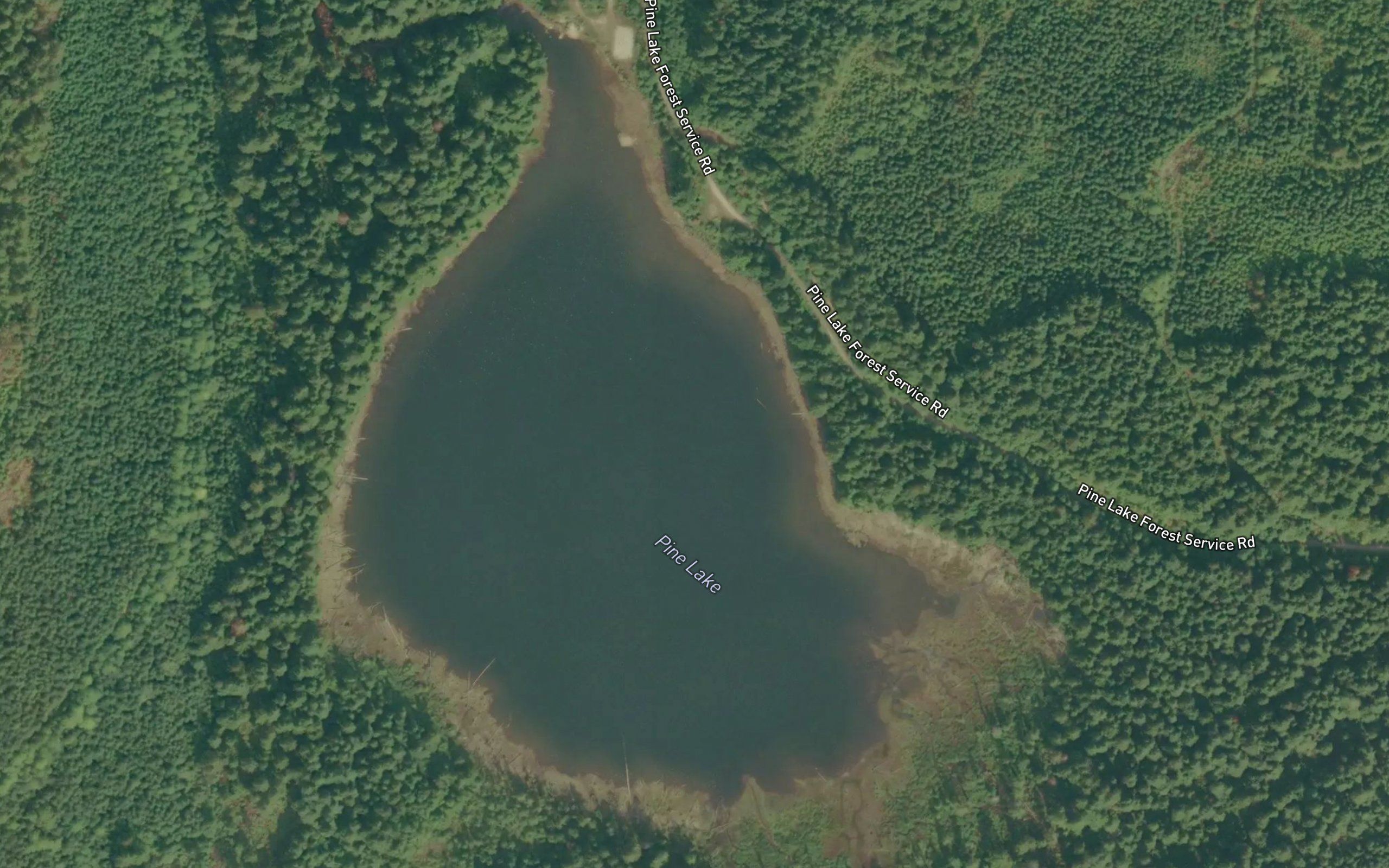Pine Lake