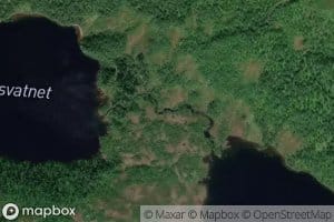 Mellomvasselva