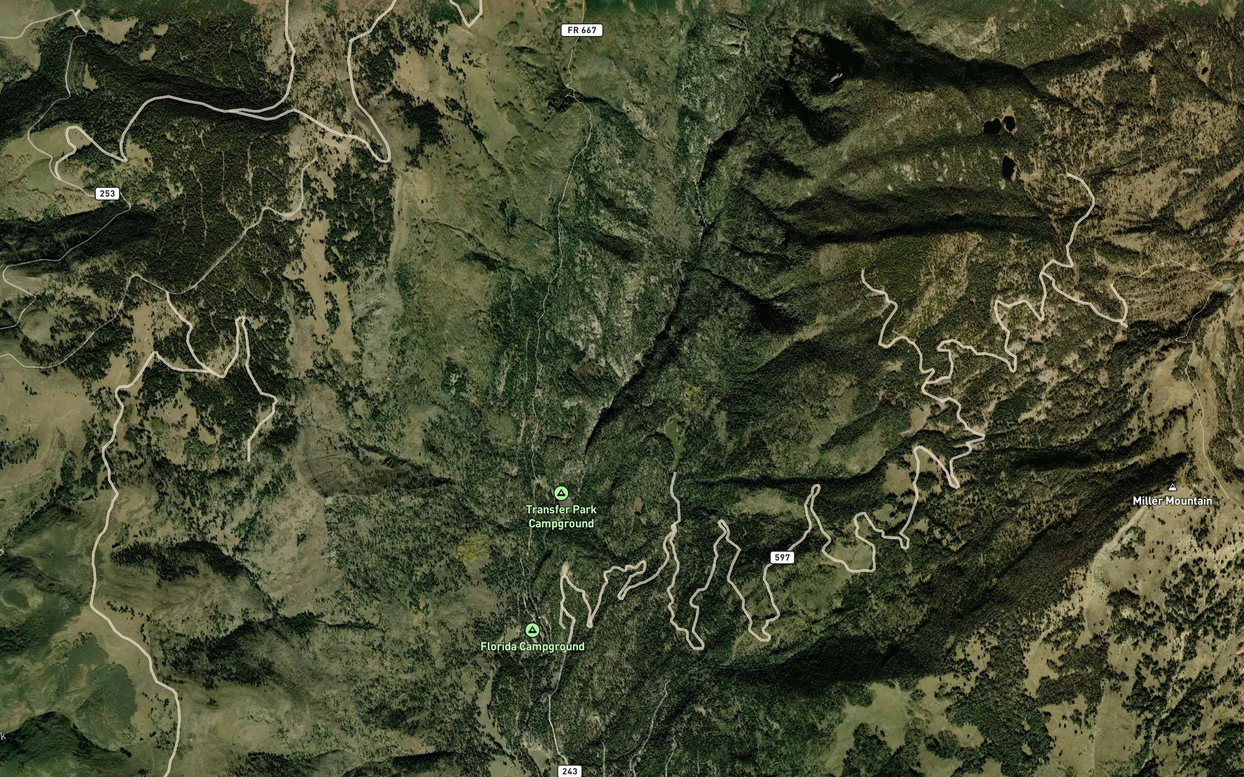 Satellite map of the South Burnt Timber Creek