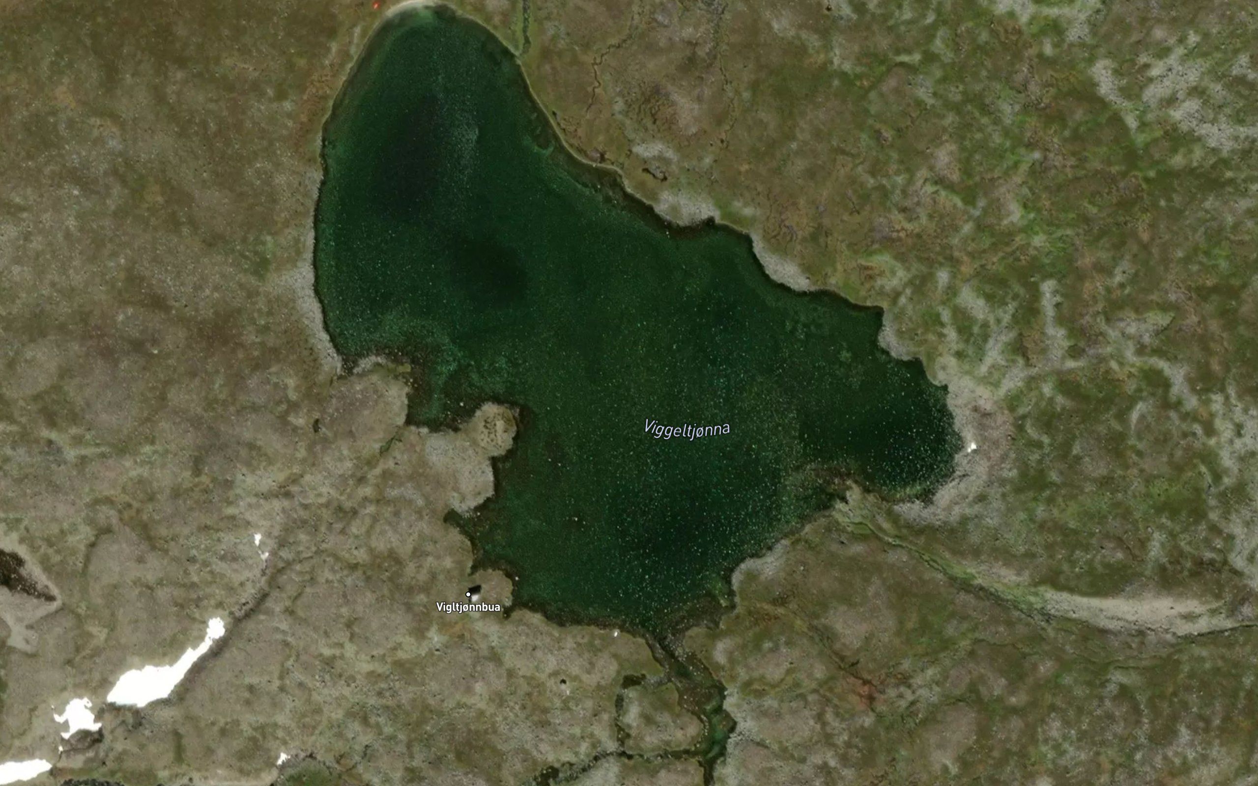 Vigltjonna