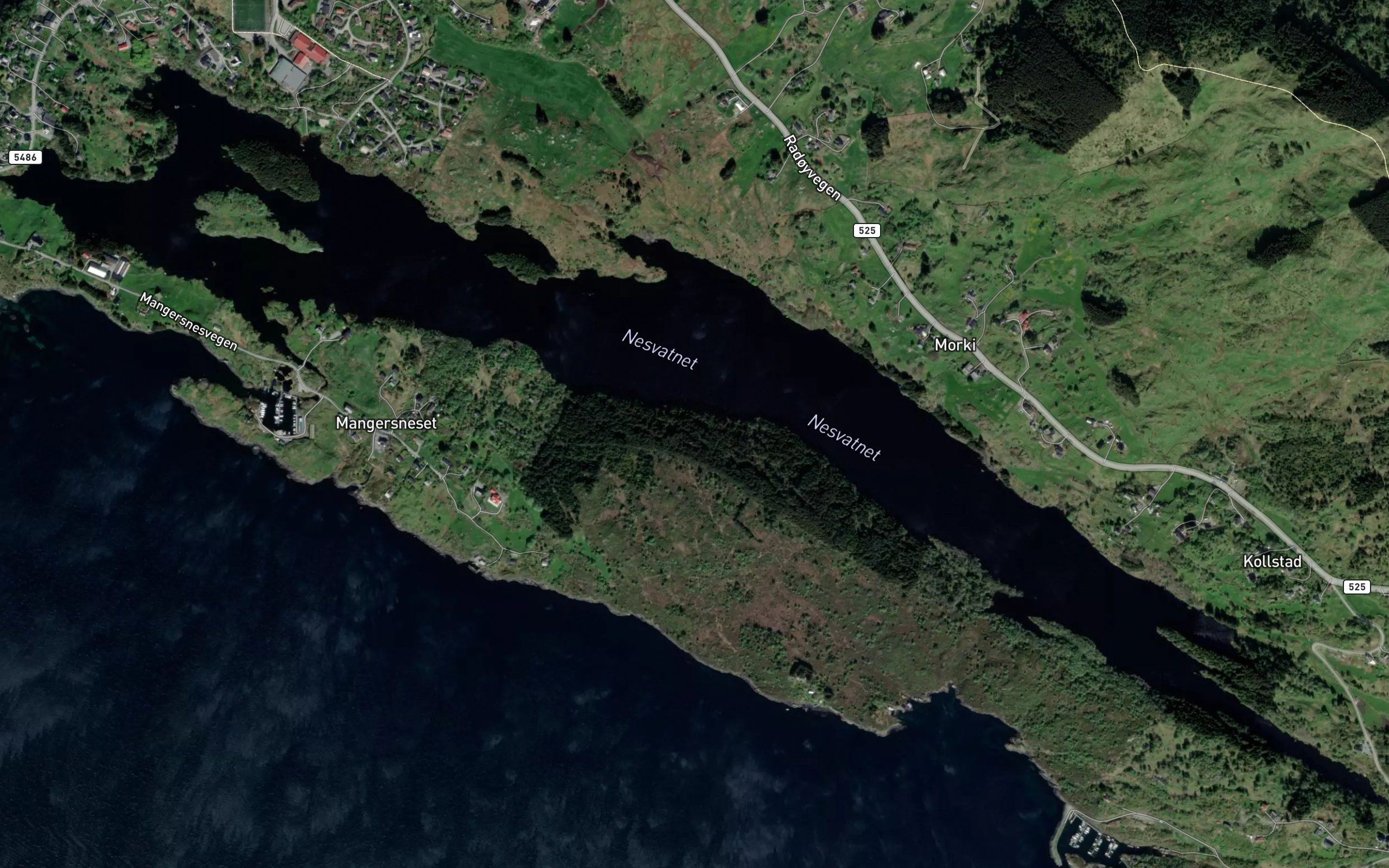 Nesvatnet