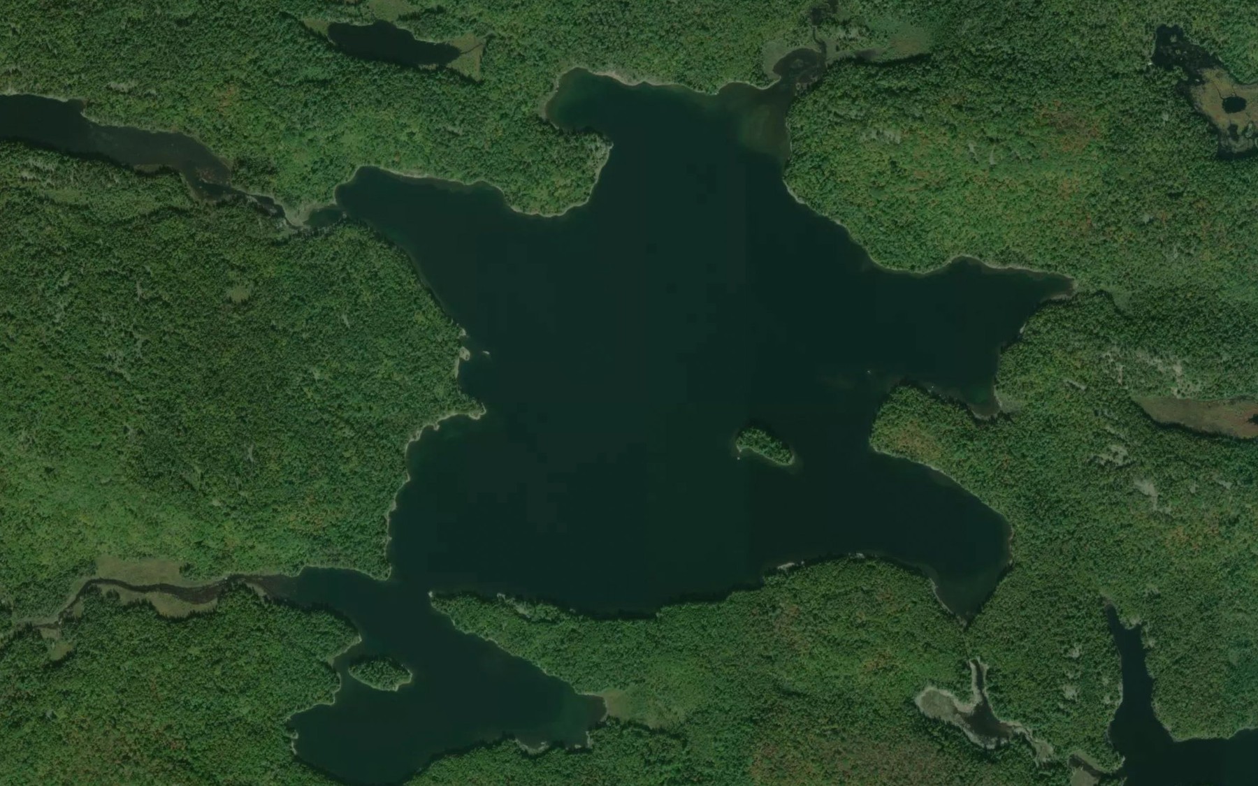 Satellite map of the Lower Mace Lake