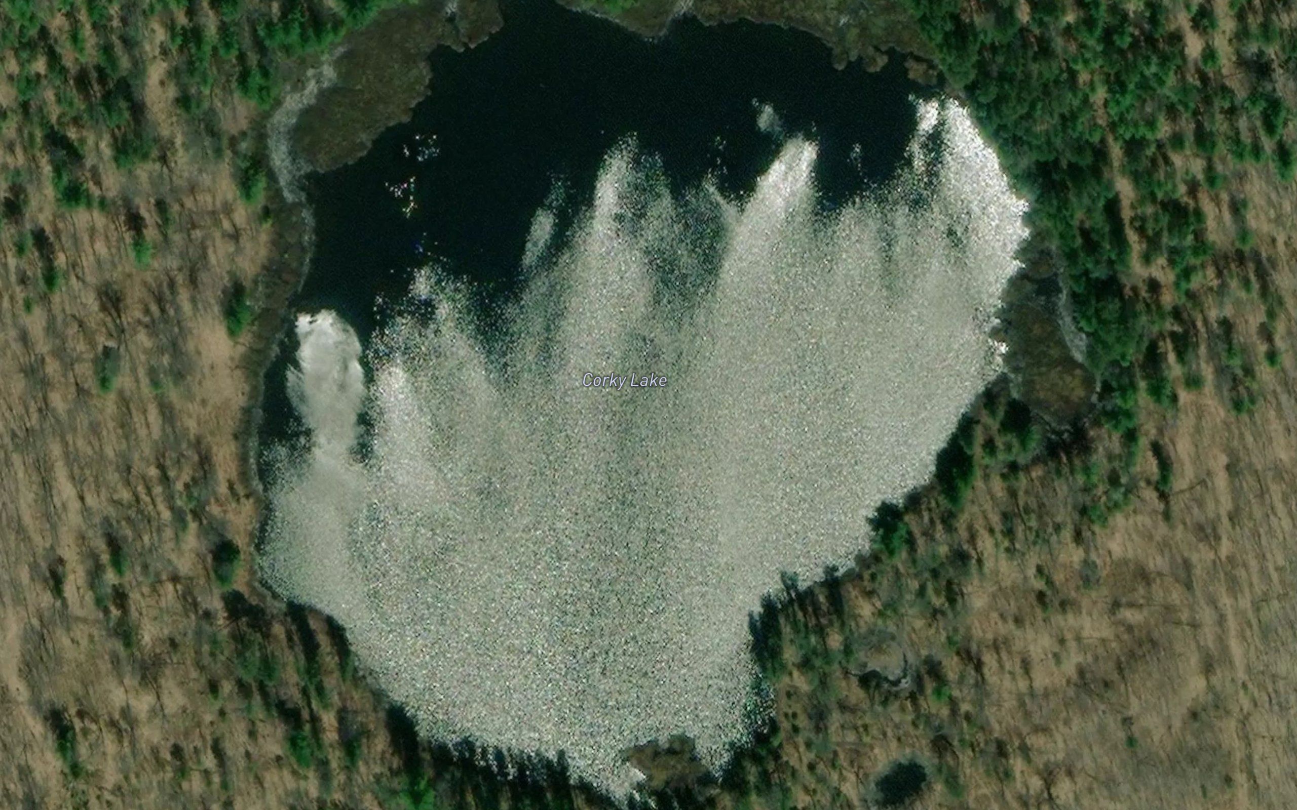 Corky Lake