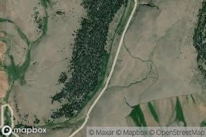 Beaver Pond