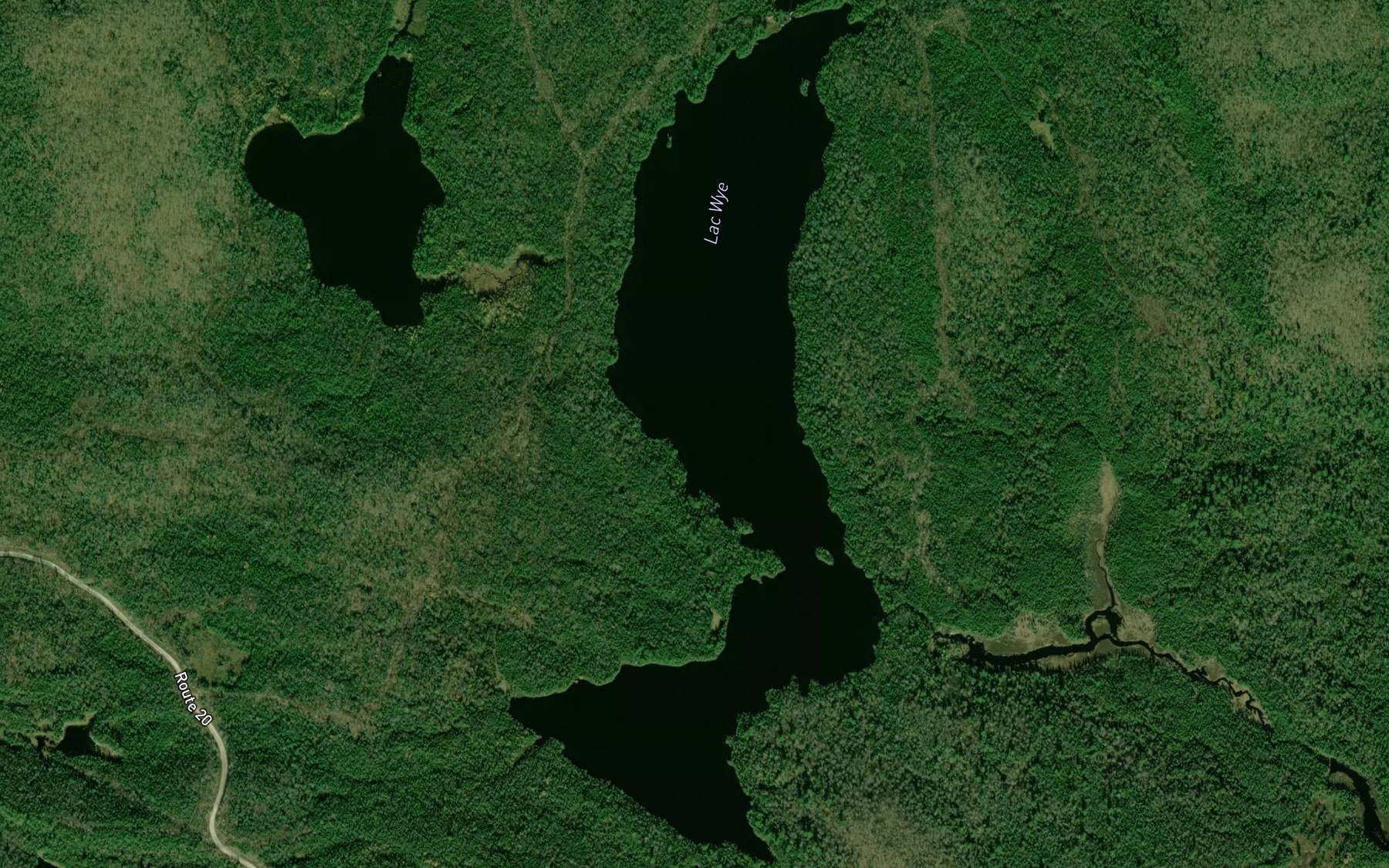 Satellite map of the Lac Wye