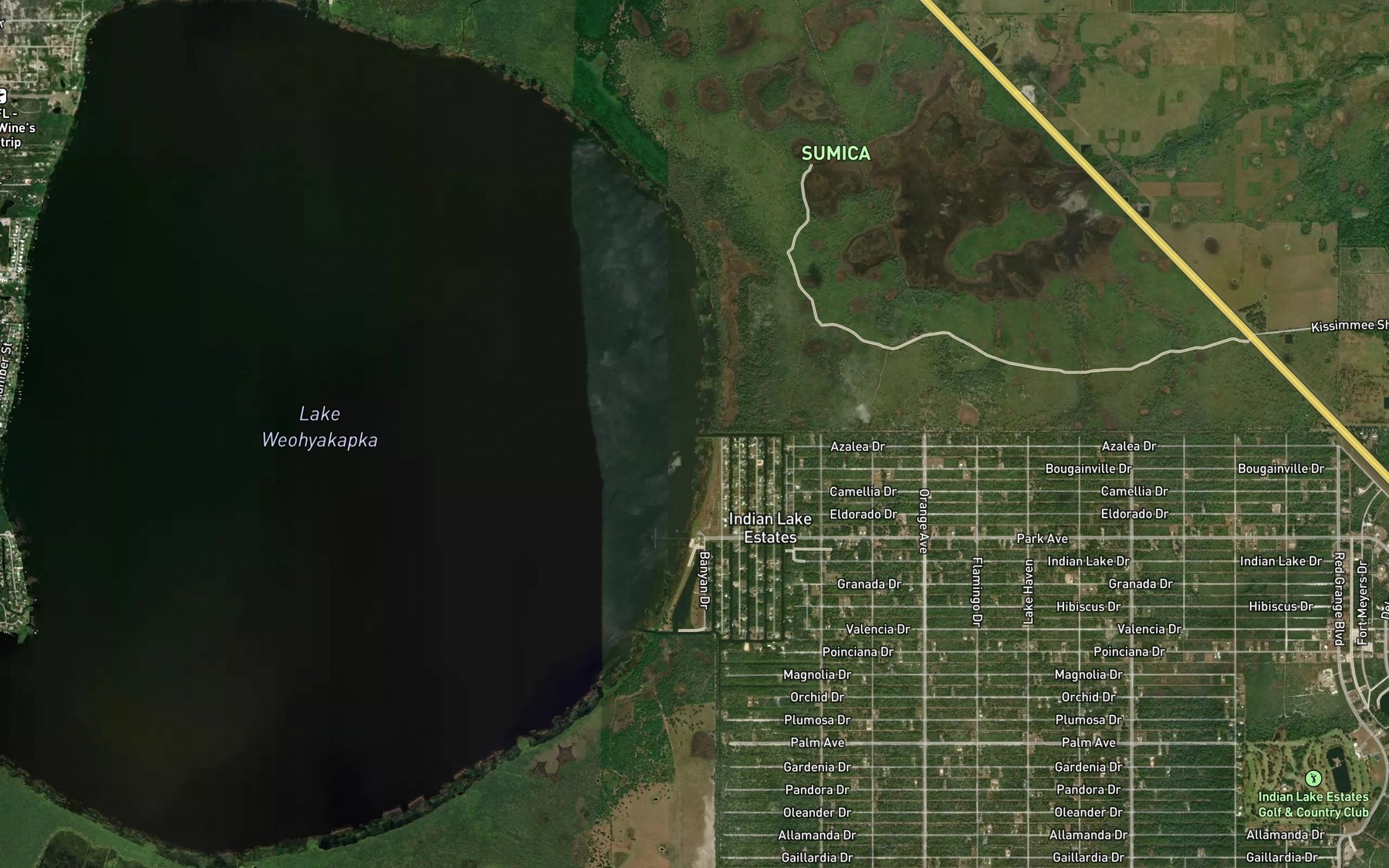Satellite map of the Palmetto Dr.