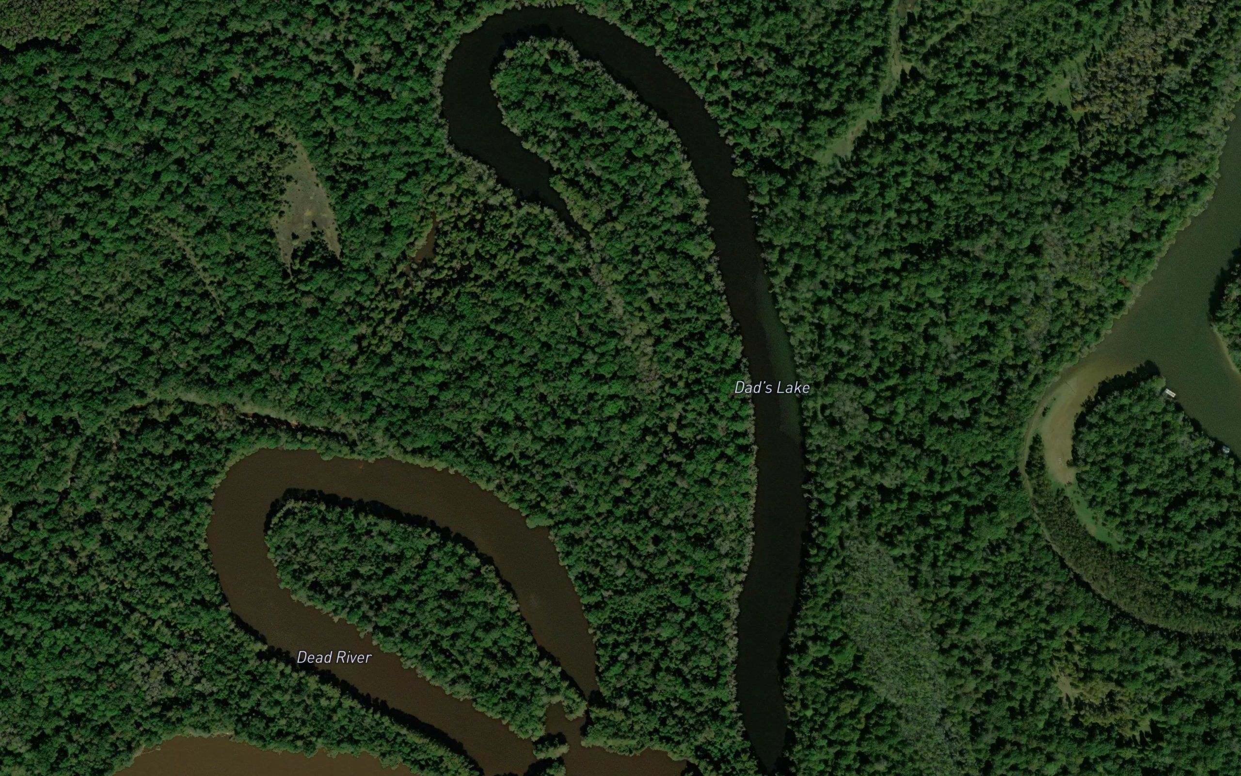 Dads Lake