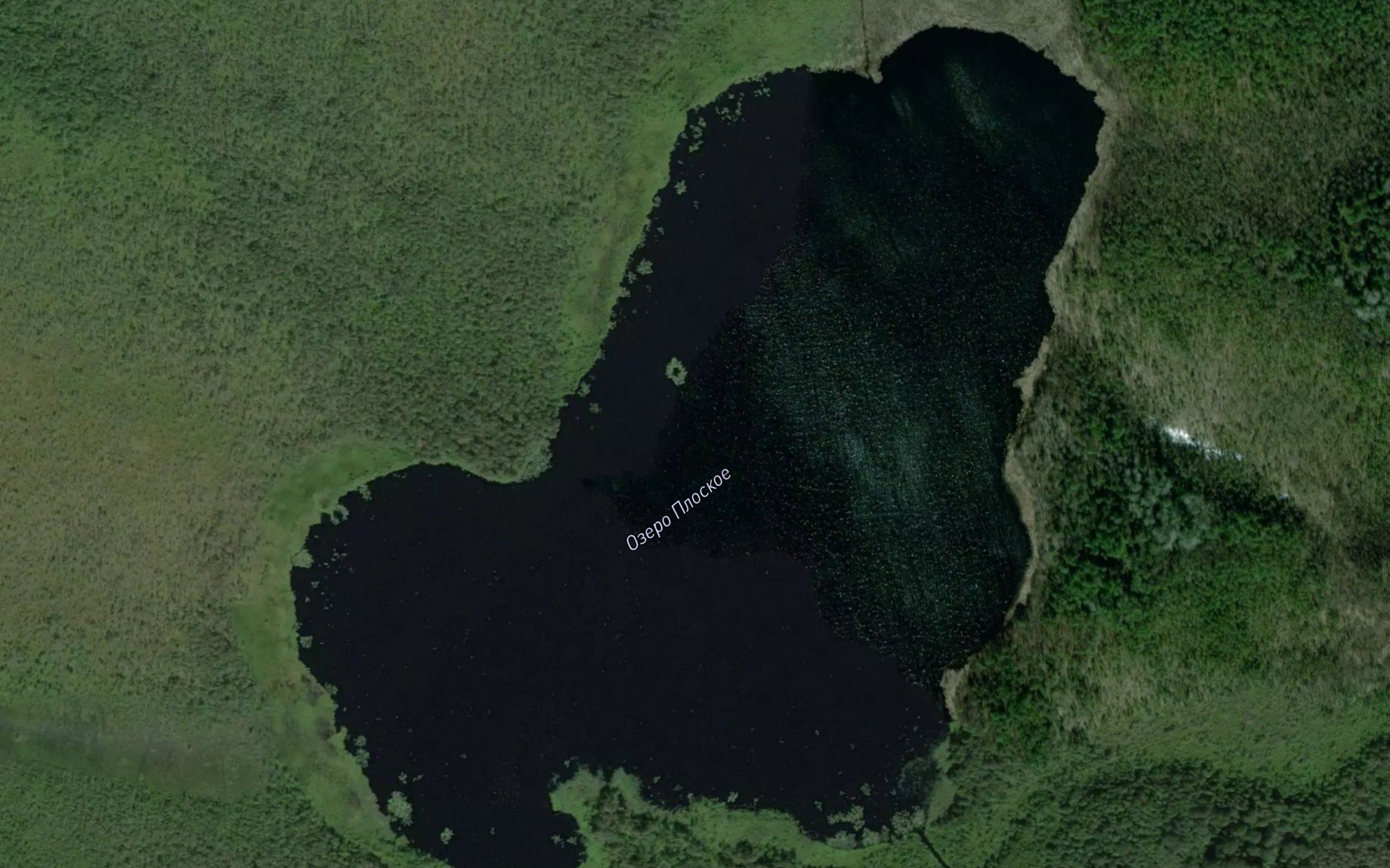 Ozero Ploskoye