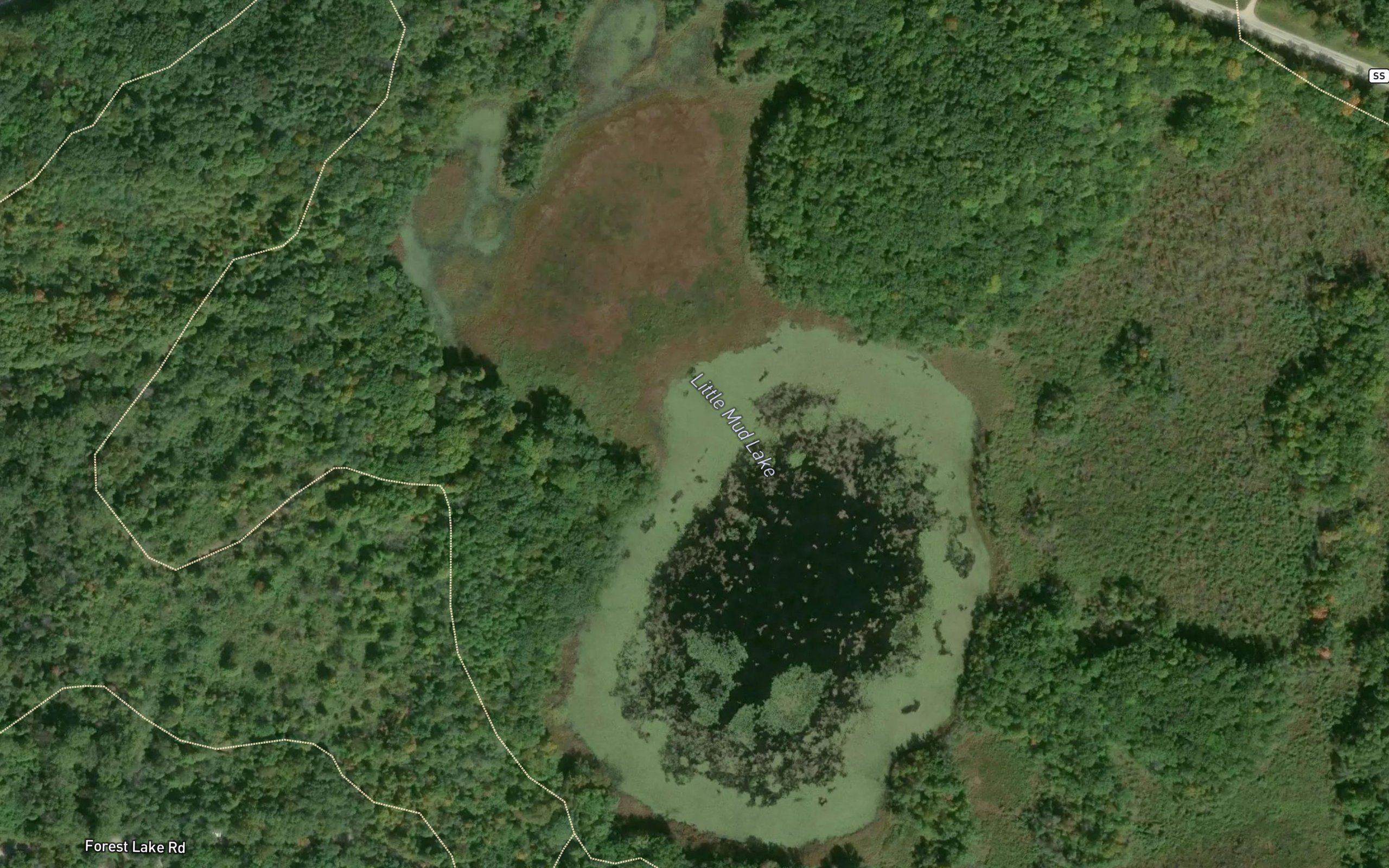Little Mud Lake