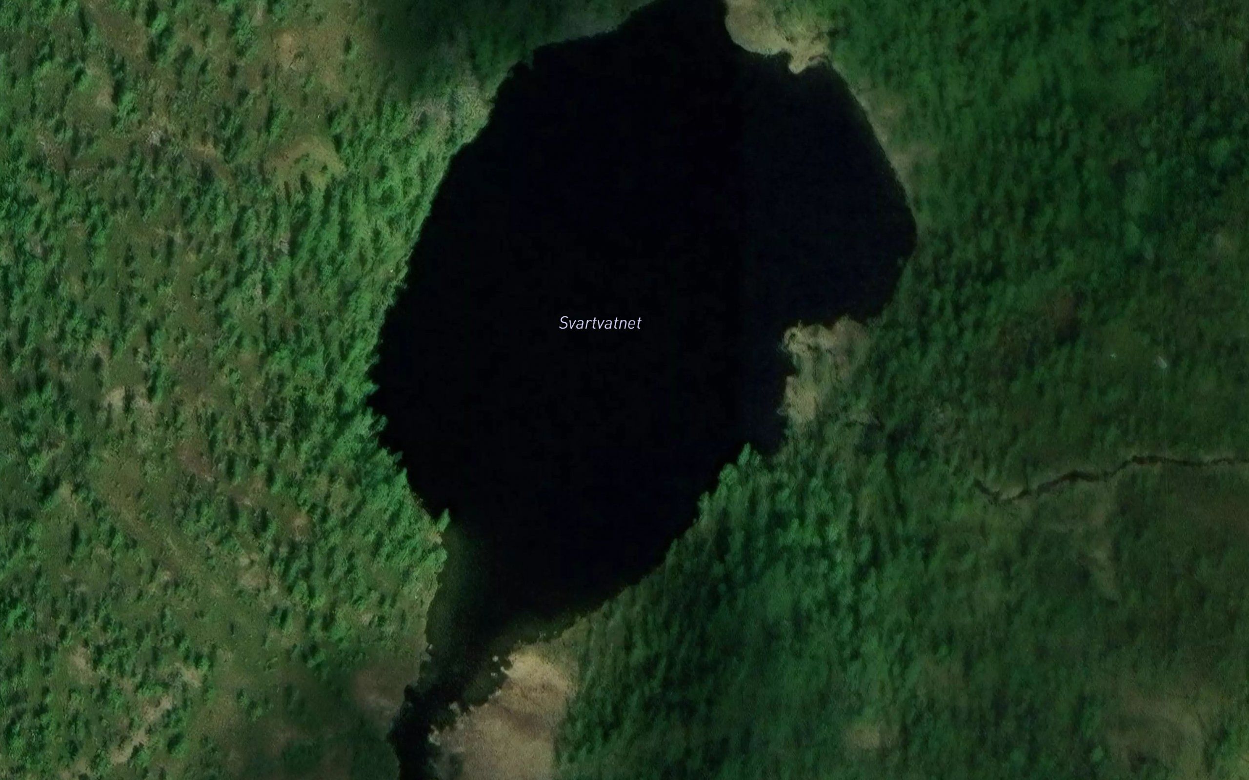 Svartvatn