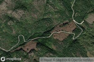 Grytani