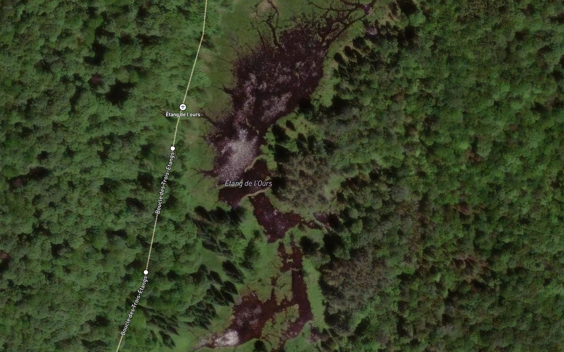 Satellite map of the Etang de l'Ours