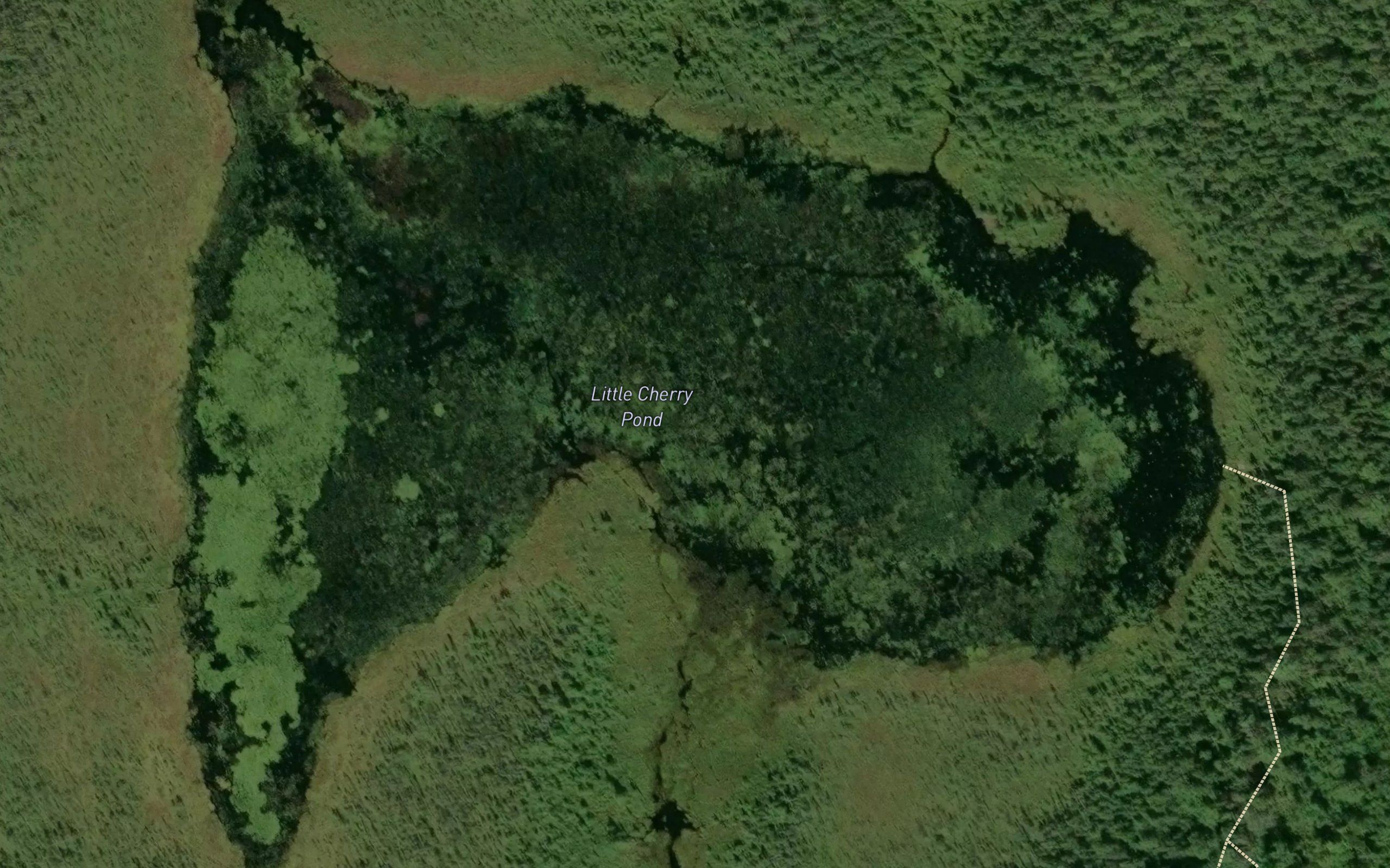 Little Cherry Pond