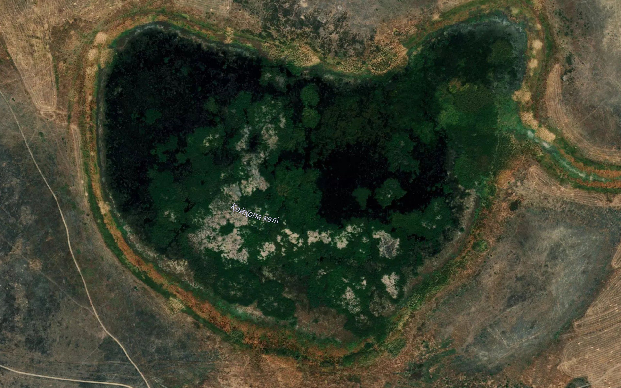 Ozero Koykopa