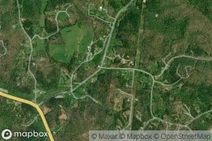 Grape Thicket Branch