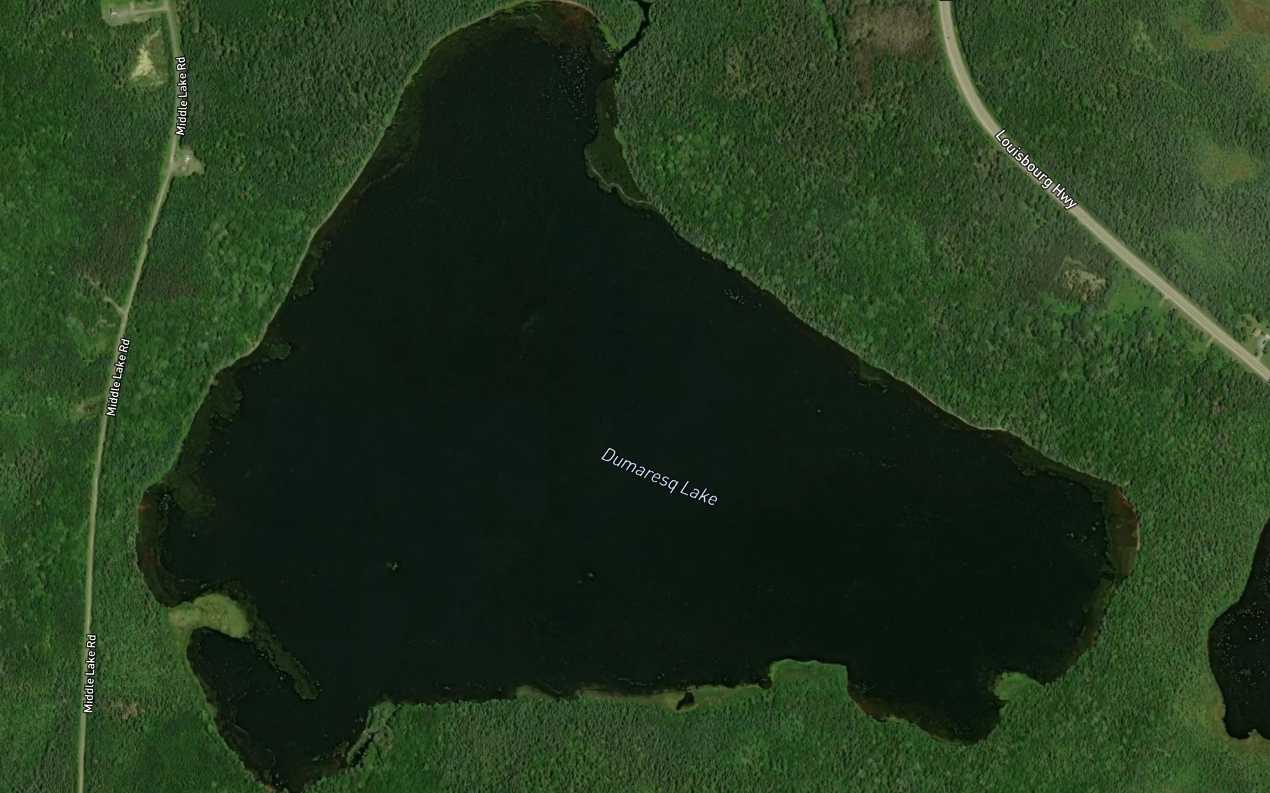 Satellite map of the Dumaresq Lake