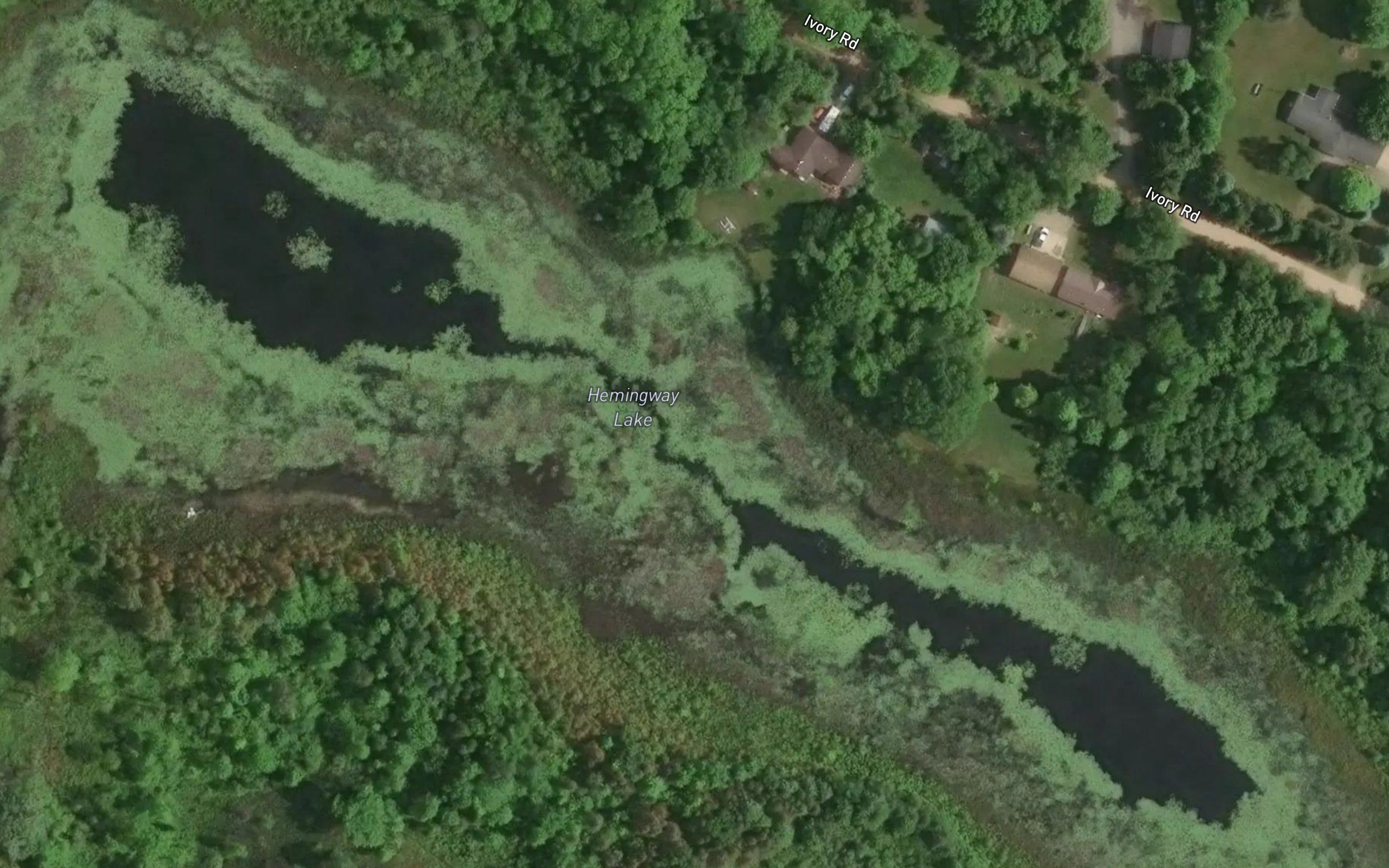 Hemingway Lake