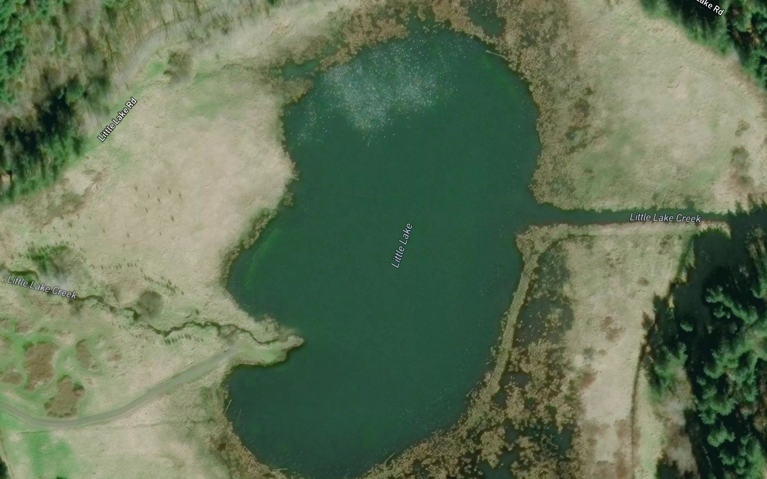 Little Lake
