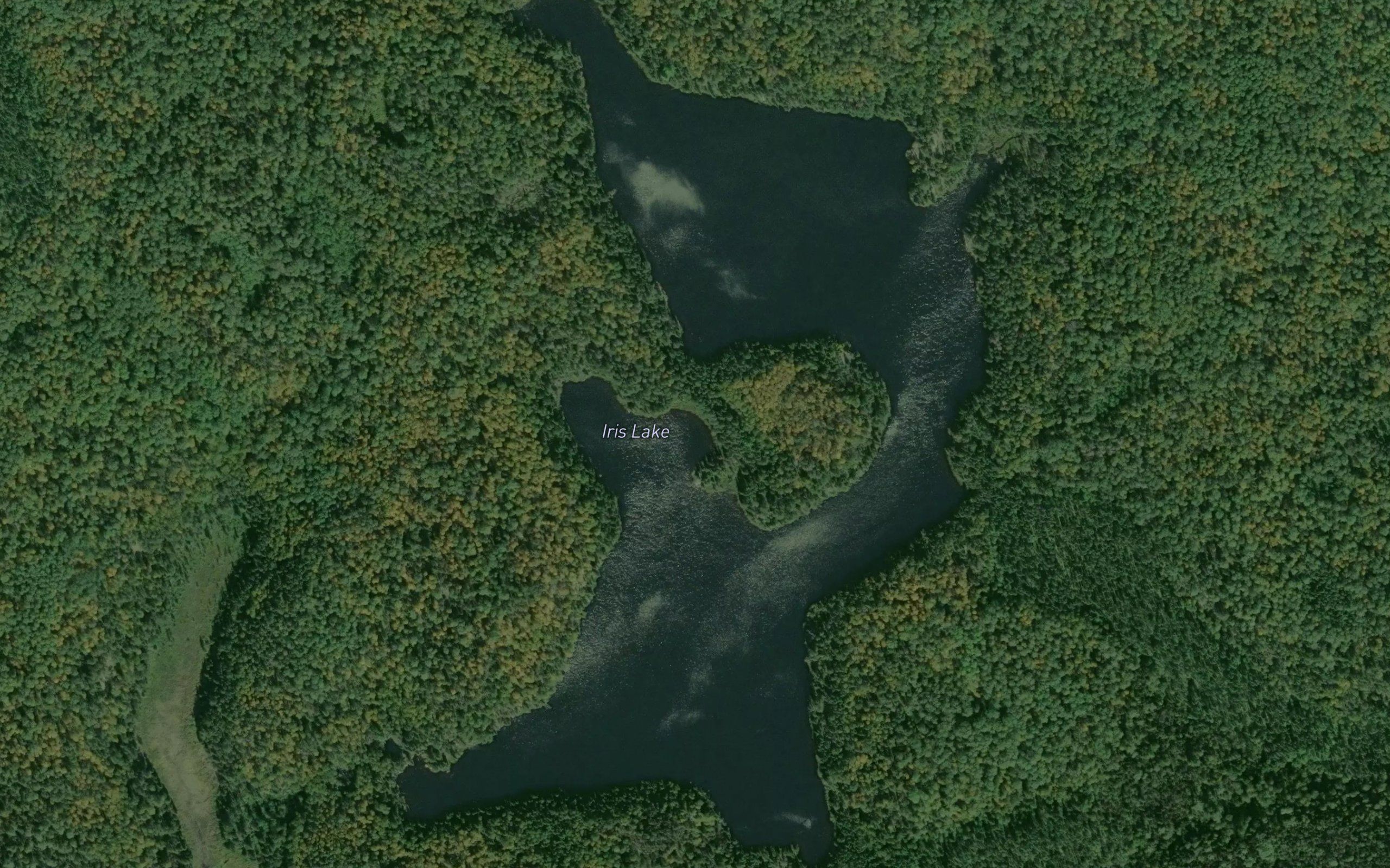 Iris Lake