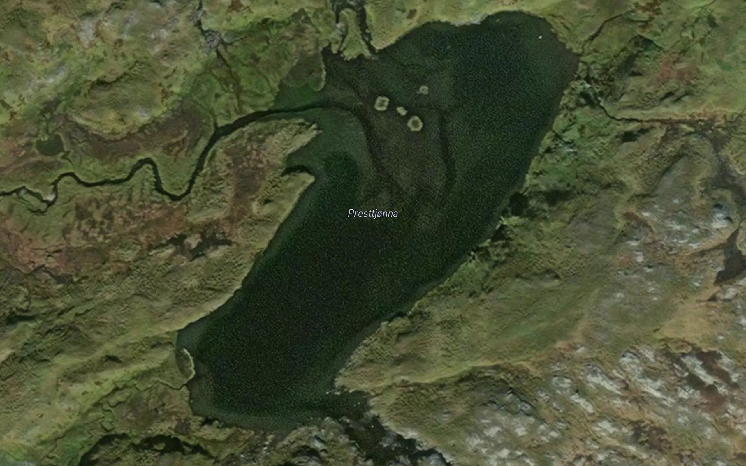 Presttjonna