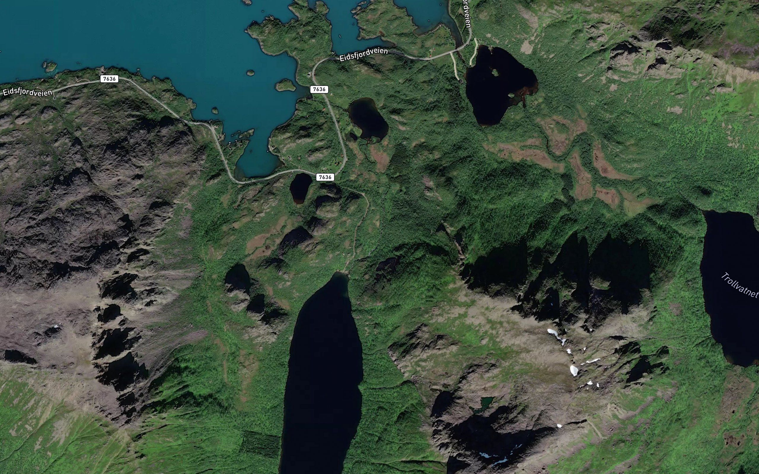 Langvasselva